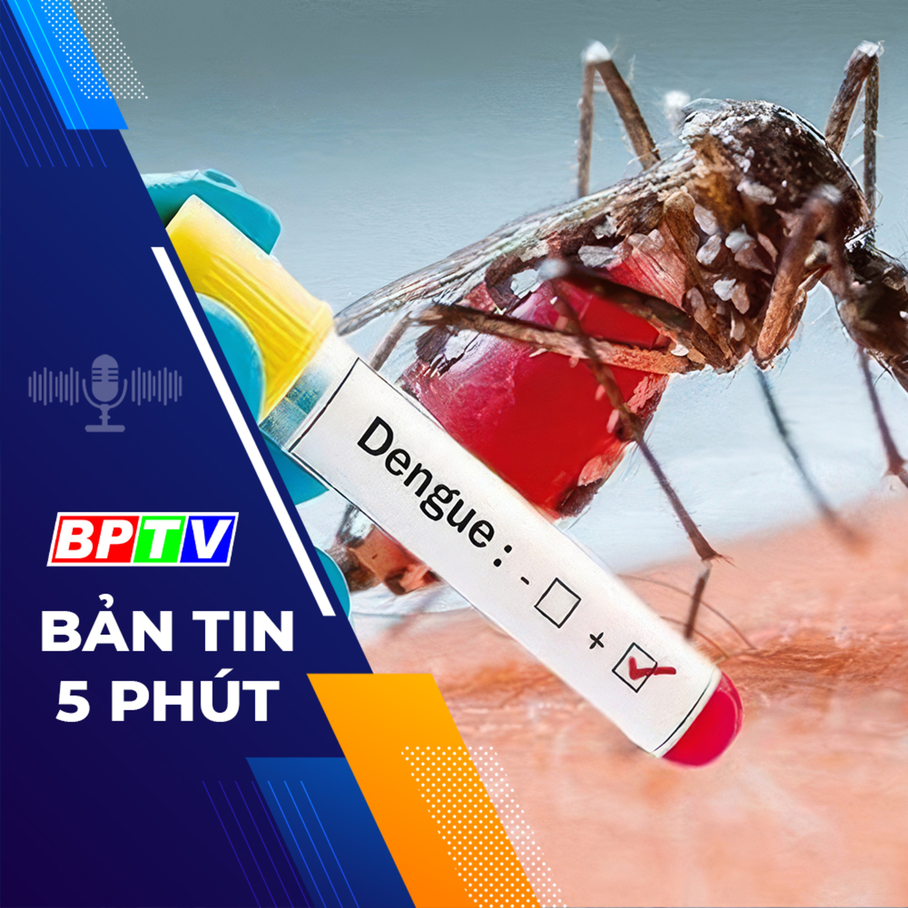  5 phút trưa nay 22-2-2024 episode artwork