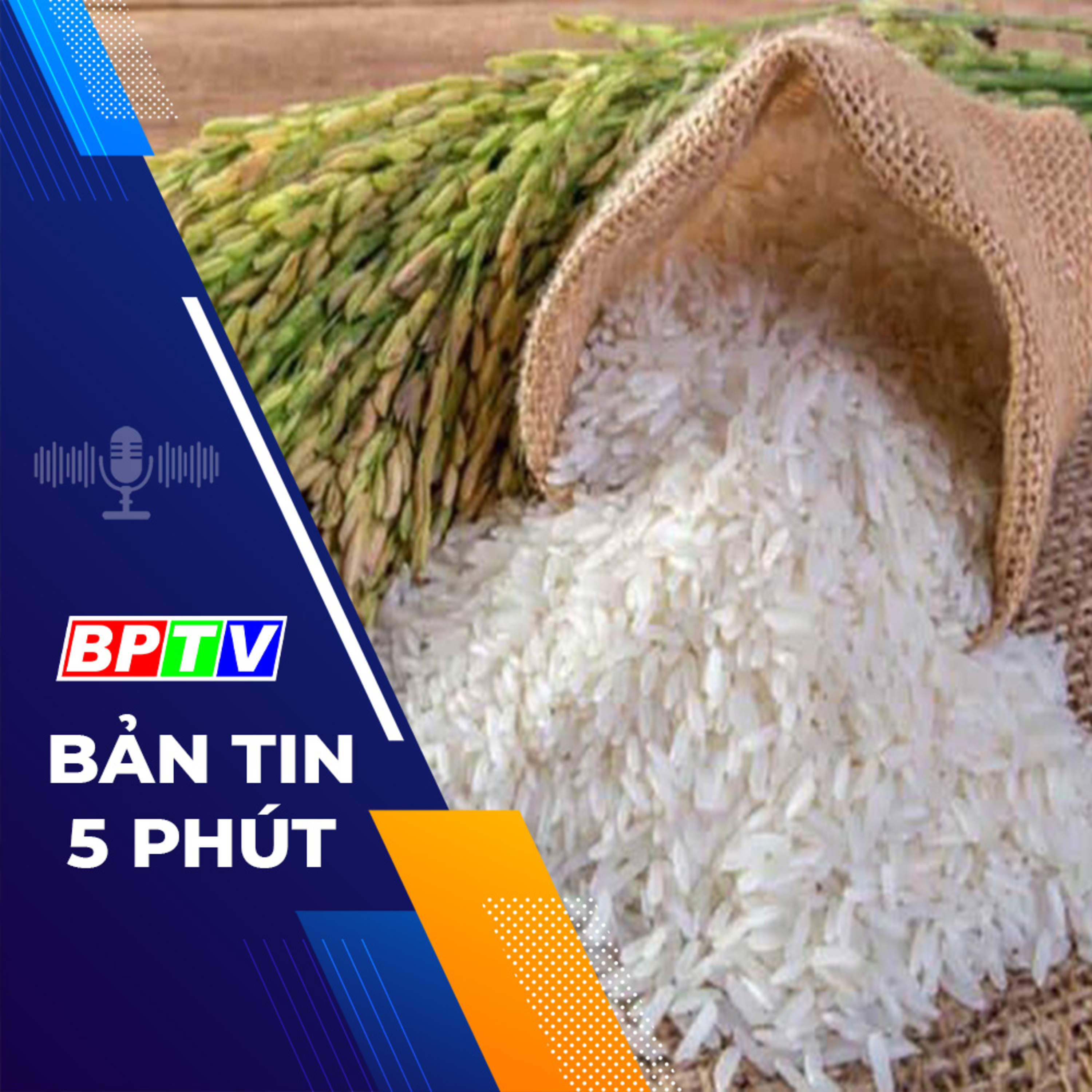 5 phút tối nay 24-2-2024  episode artwork