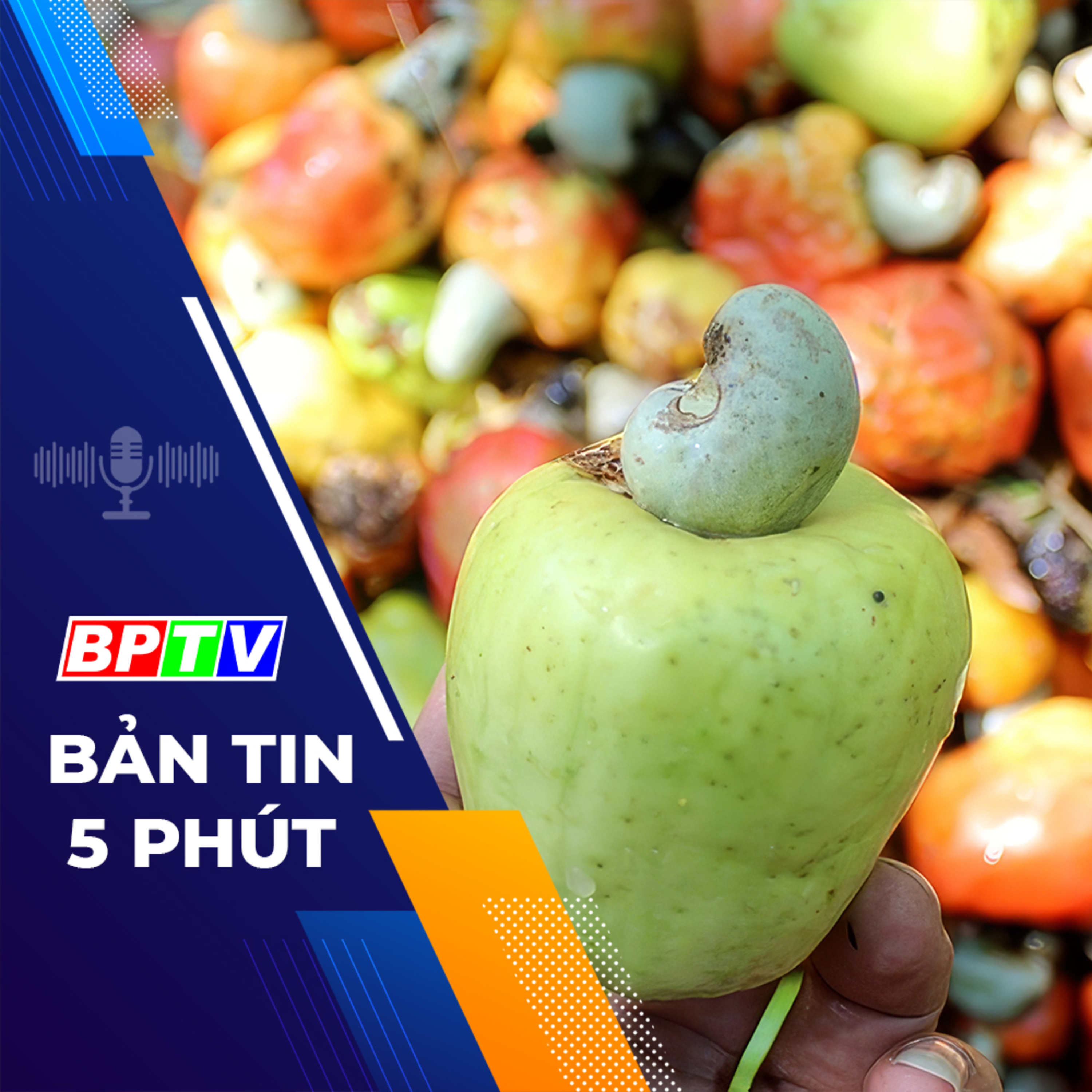 5 phút tối nay 26-2-2024 episode artwork