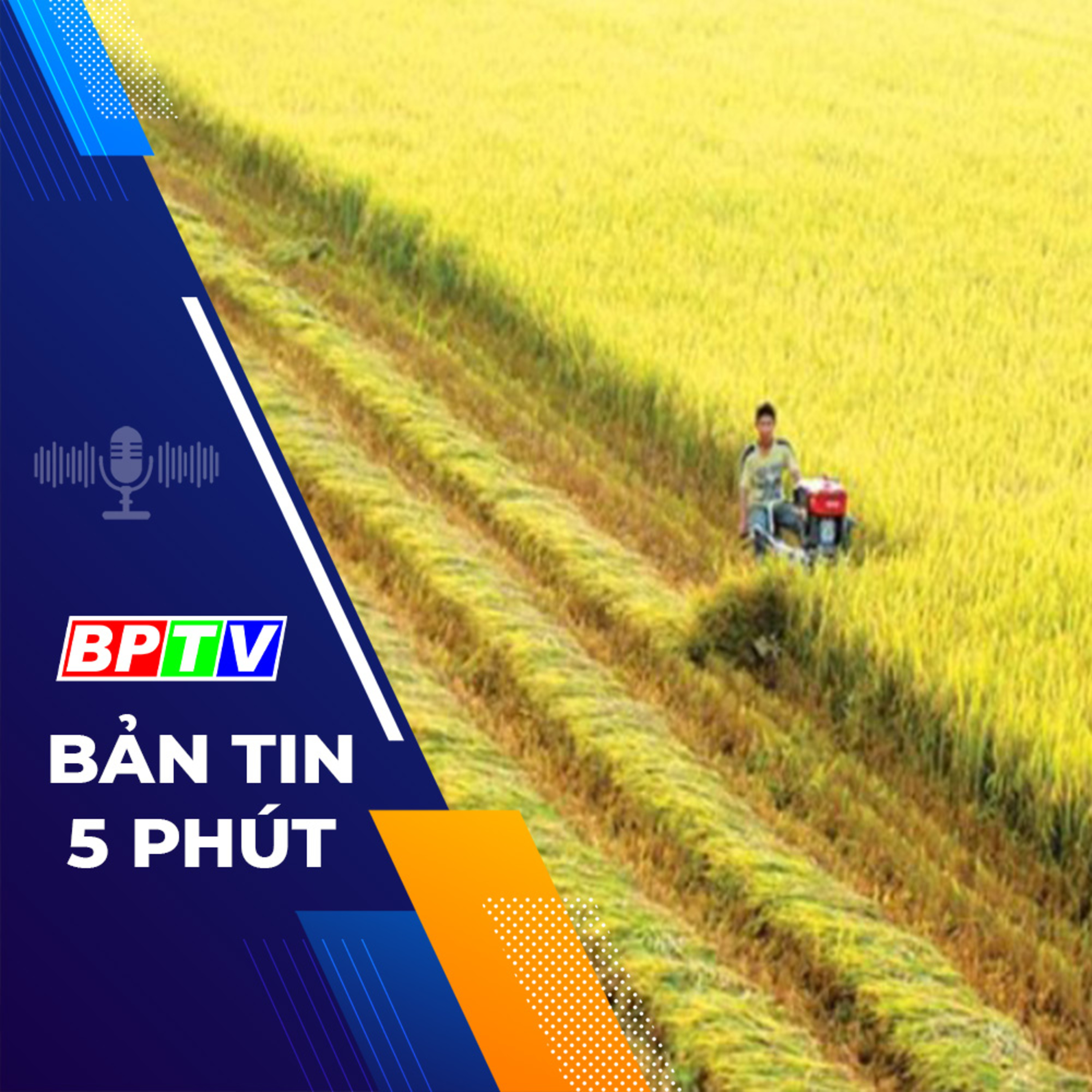 5 phút trưa nay 27-2-2024 episode artwork