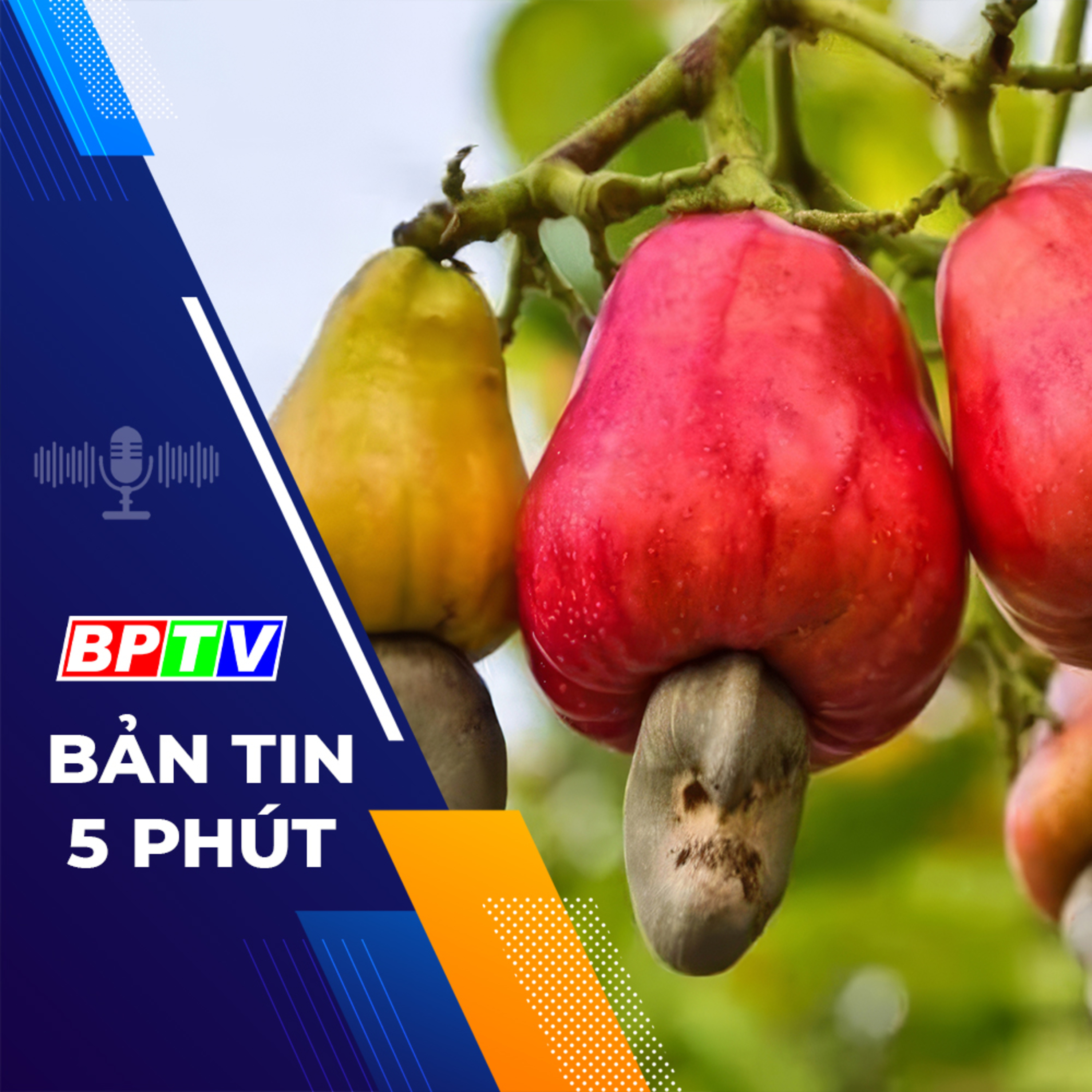 5 phút sáng nay 3-3-2024 episode artwork