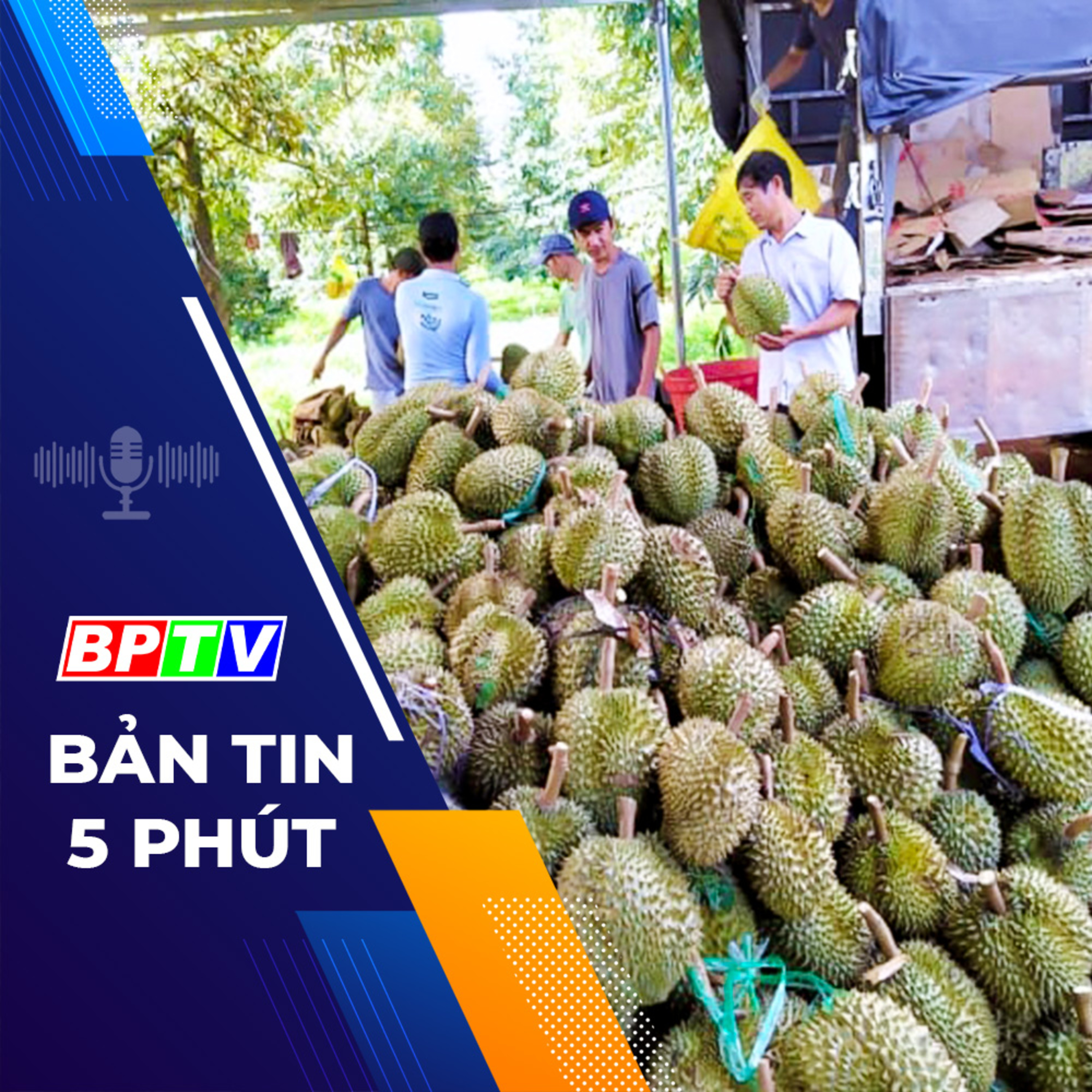 5 phút trưa nay 4-3-2024 episode artwork