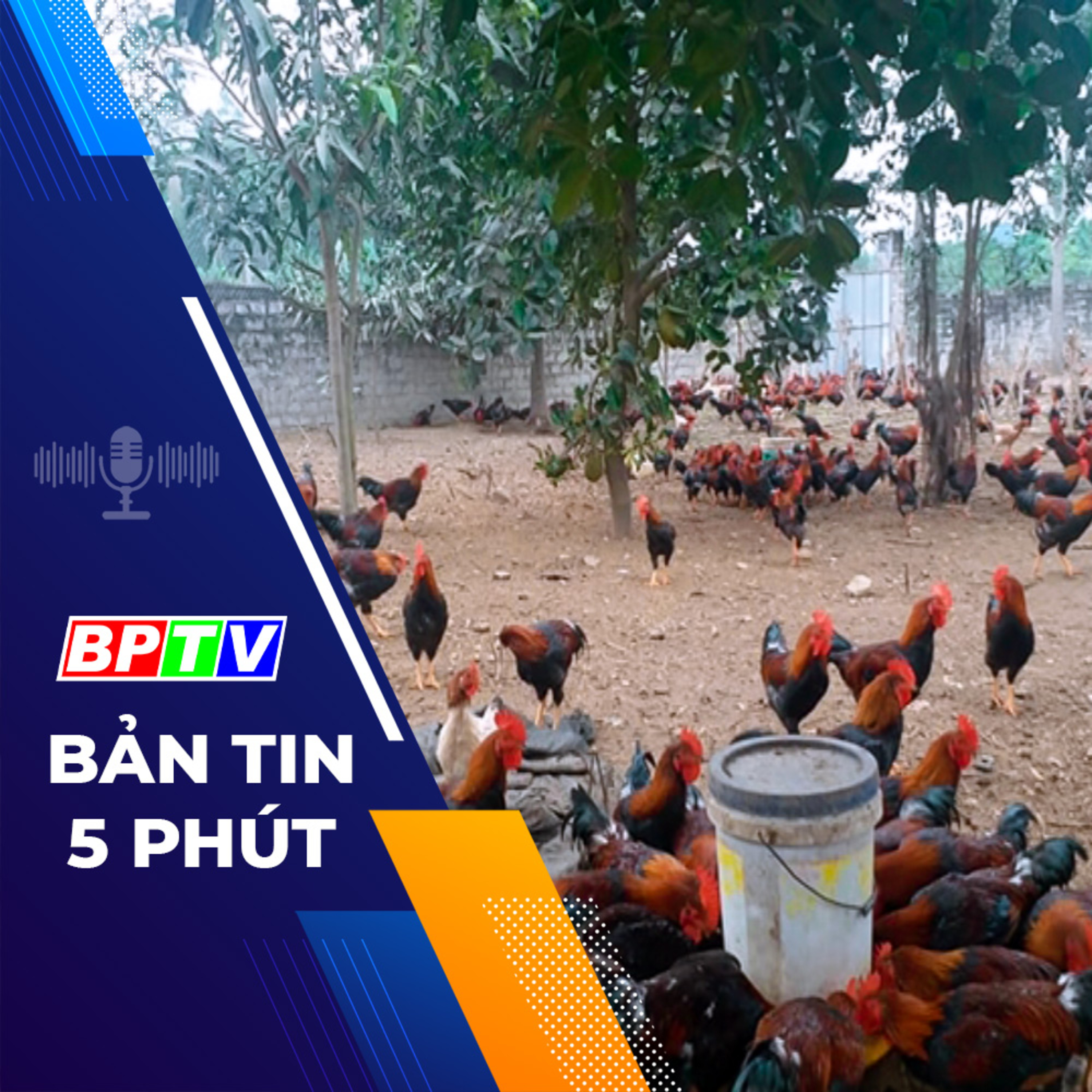 5 phút tối nay 4-3-2024  episode artwork