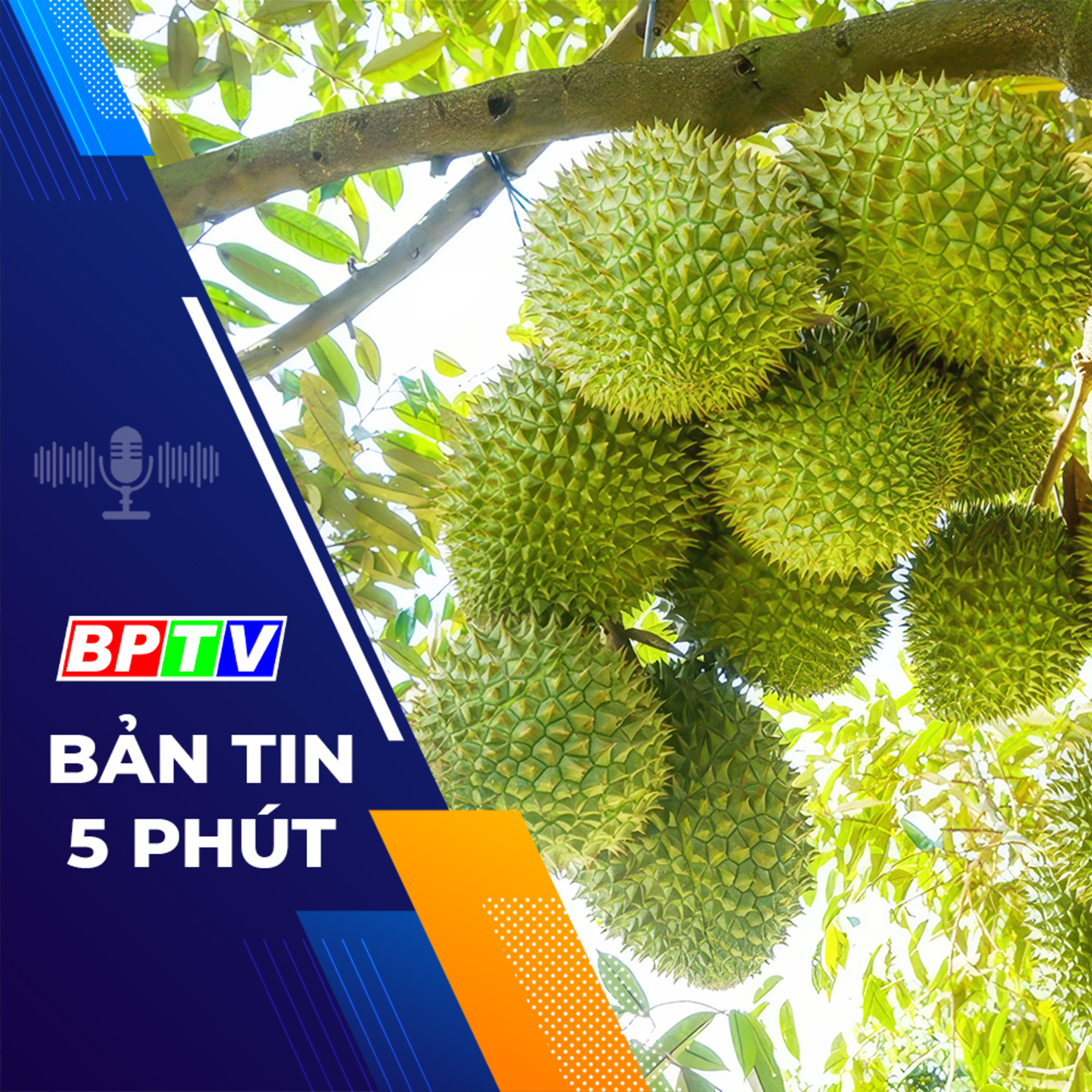 5 phút tối nay 7-3-2024 episode artwork