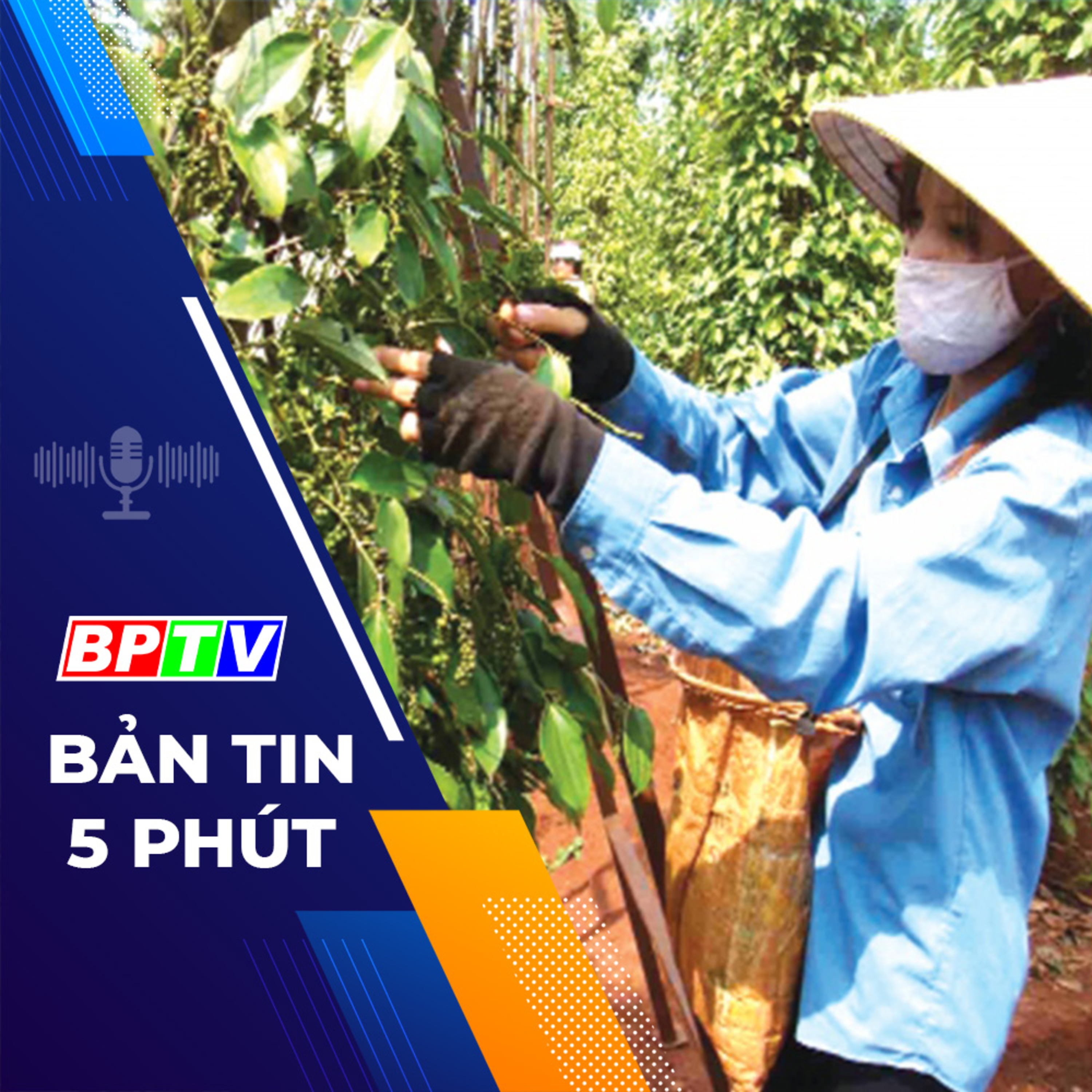 5 phút tối nay 8-3-2024  episode artwork