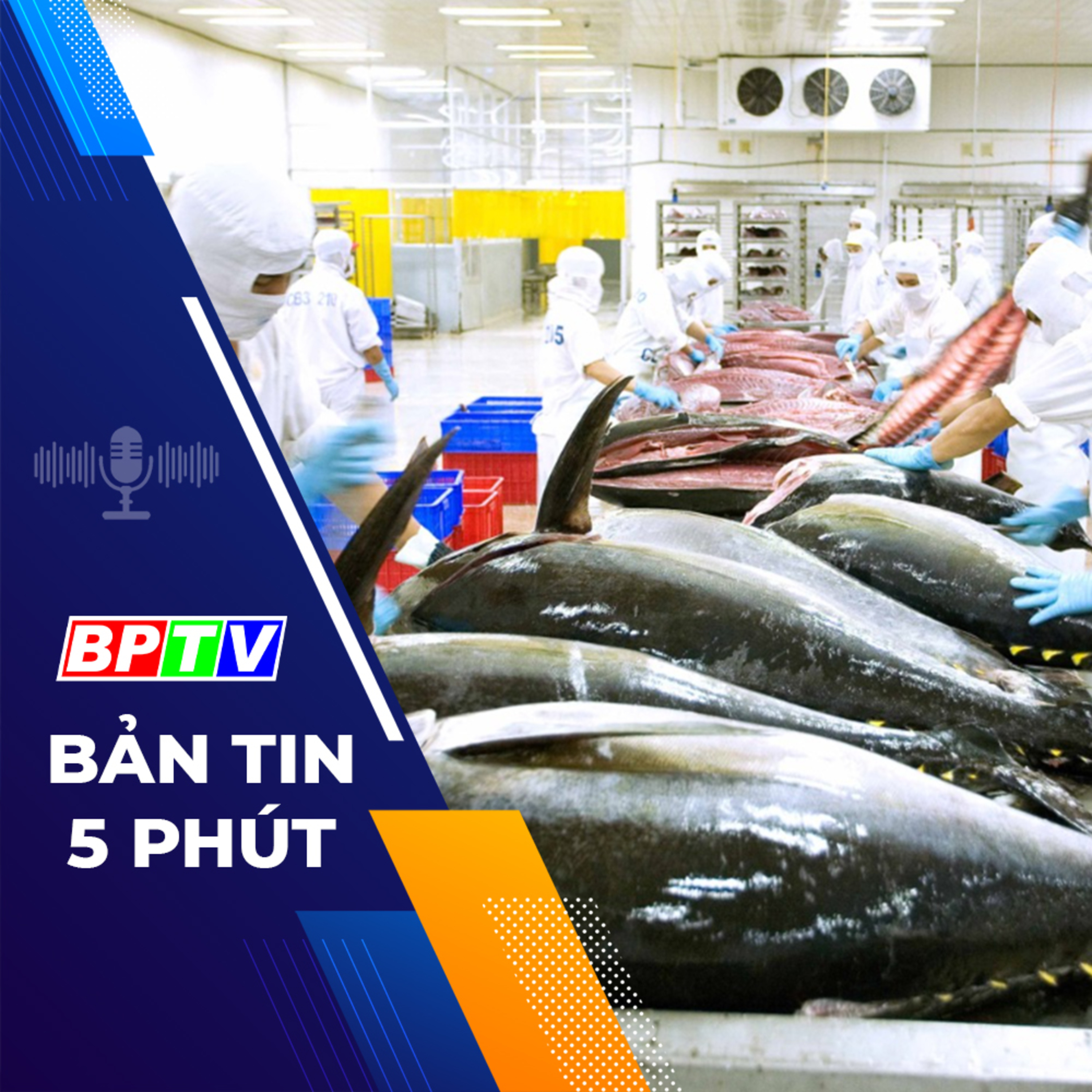 5 phút tối nay 11-3-2024 episode artwork