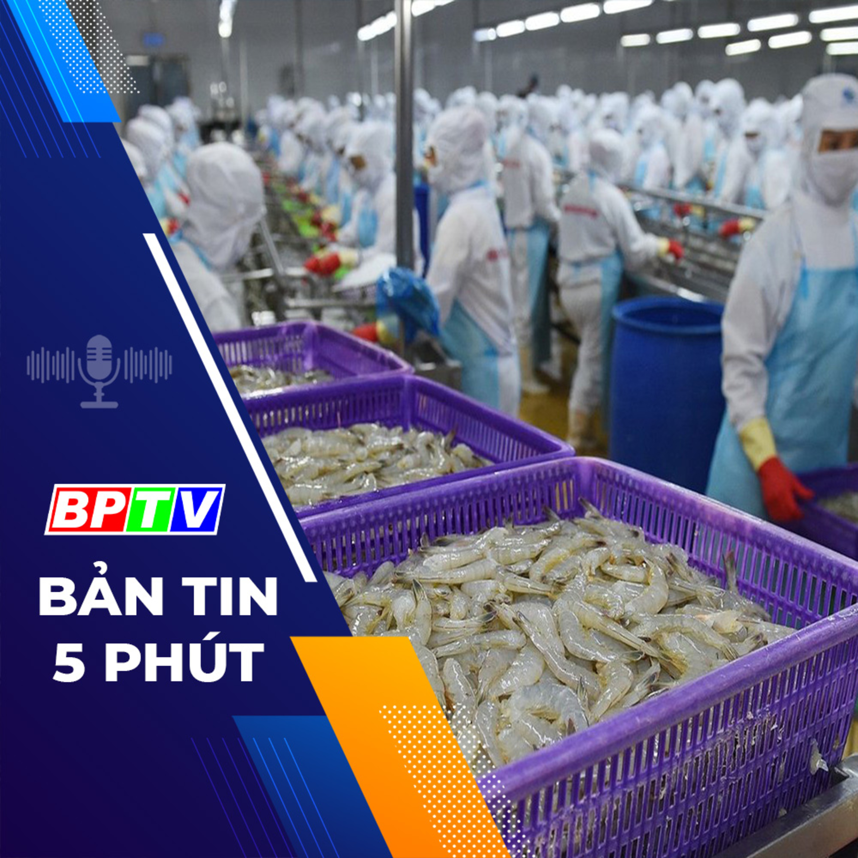 5 phút sáng nay 14-3-2024 episode artwork
