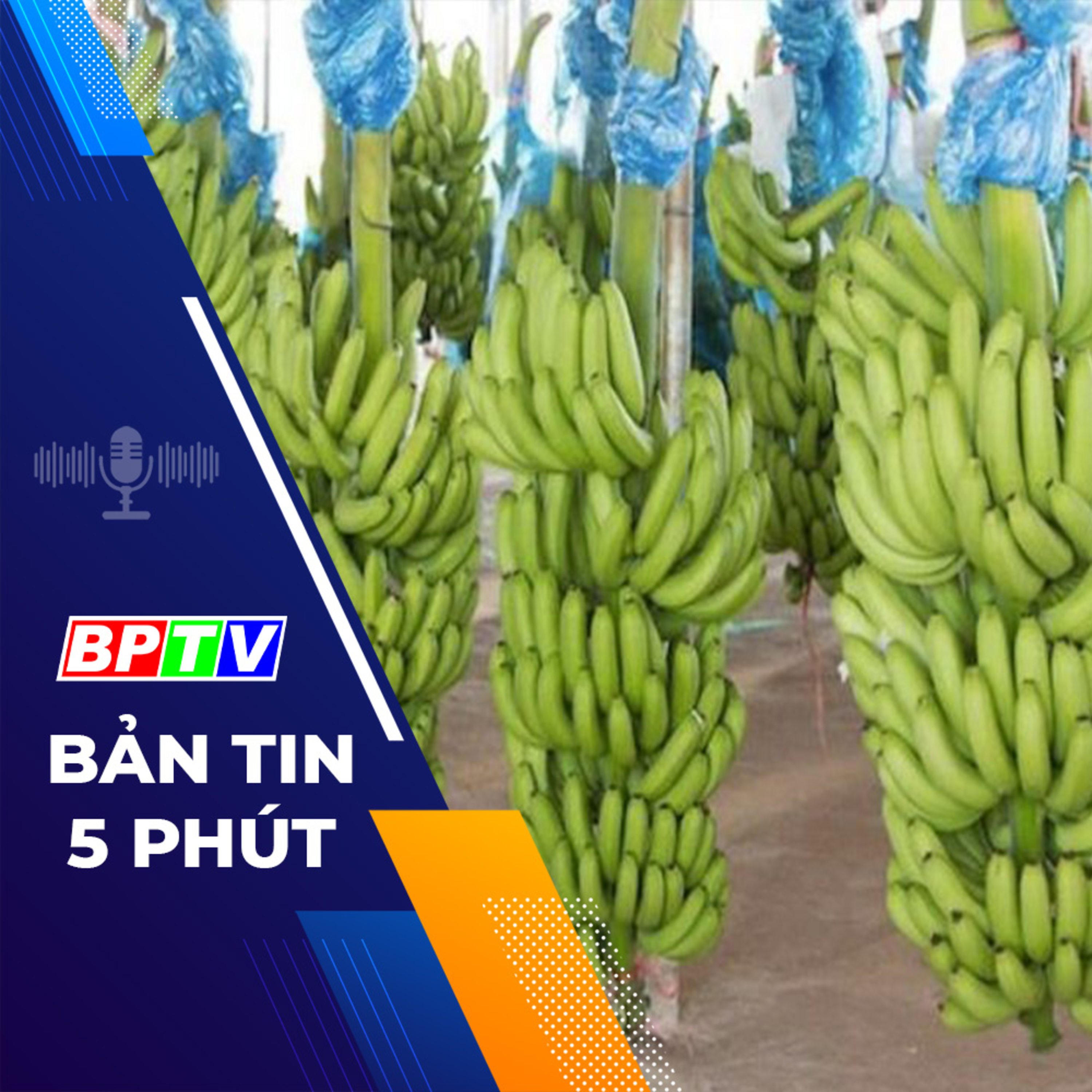 5 phút trưa nay 14-3-2024 episode artwork