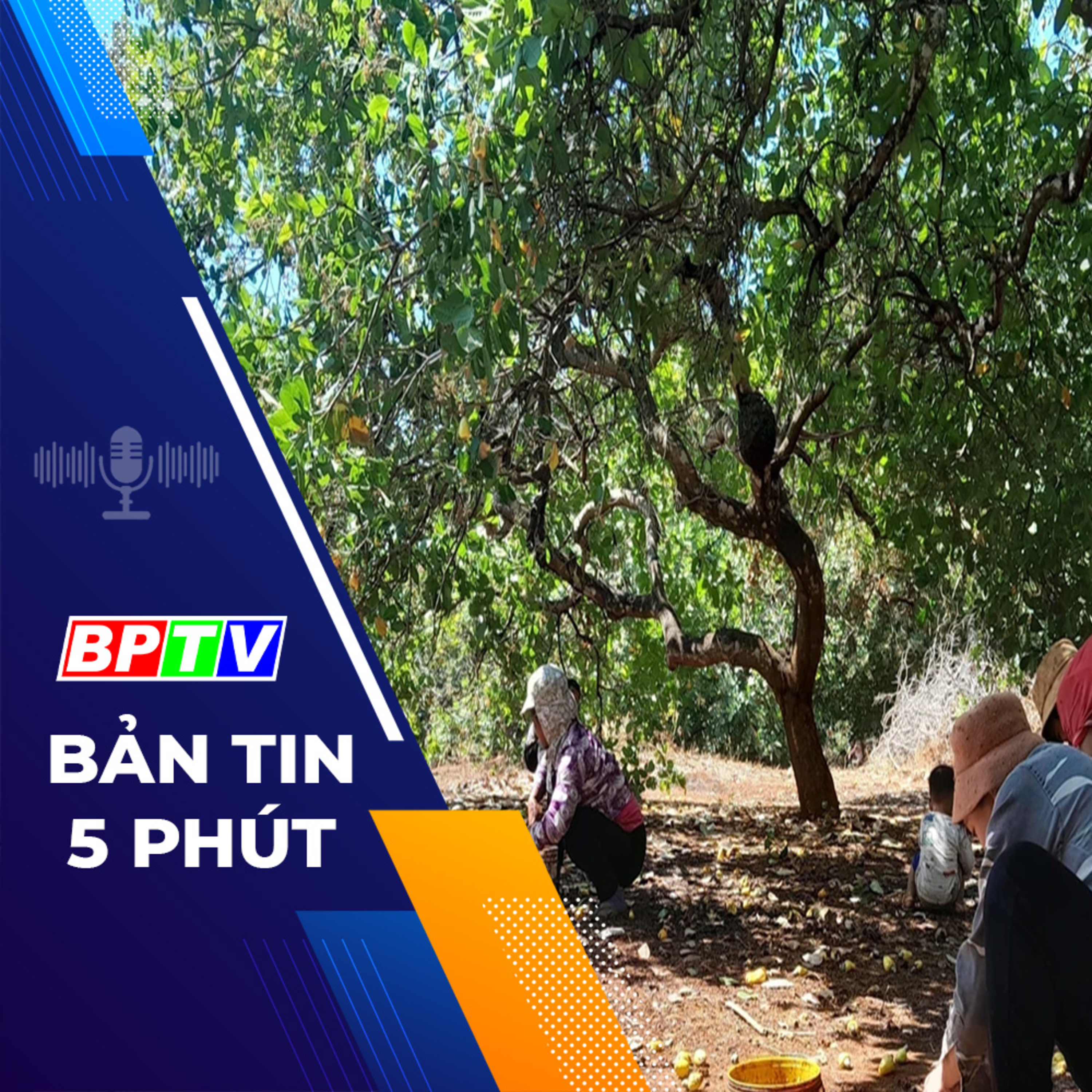 5 phút sáng nay 18-3-2024 episode artwork