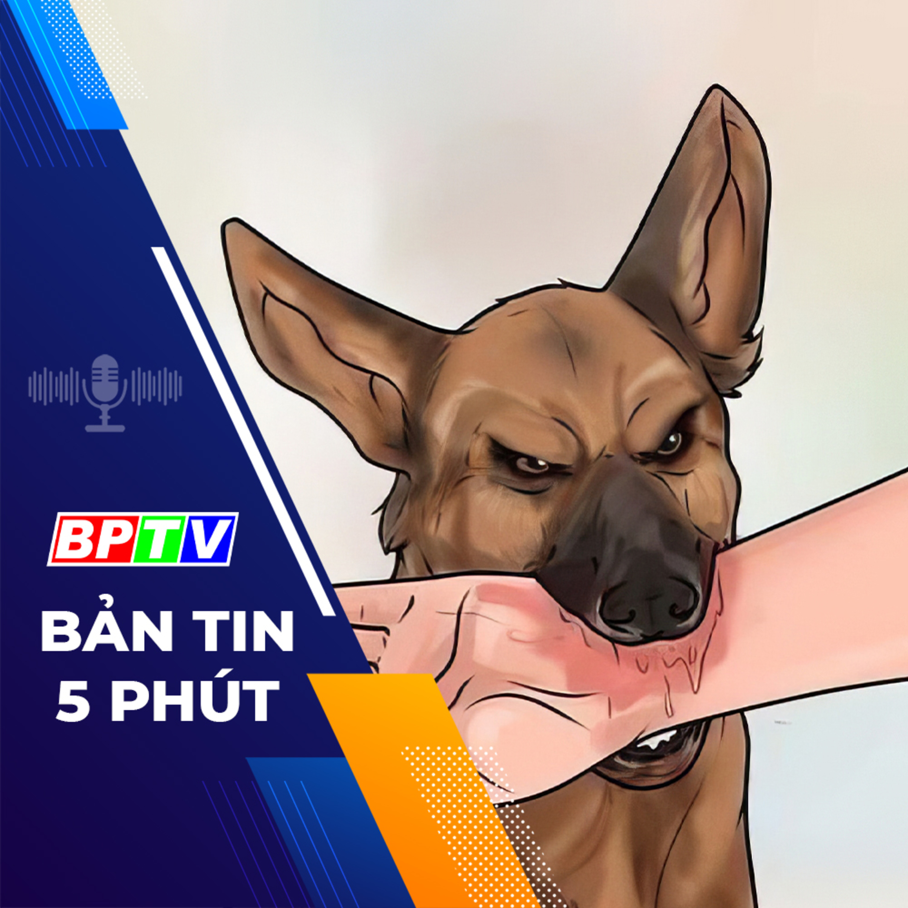  5 phút tối nay 17-3-2024 episode artwork