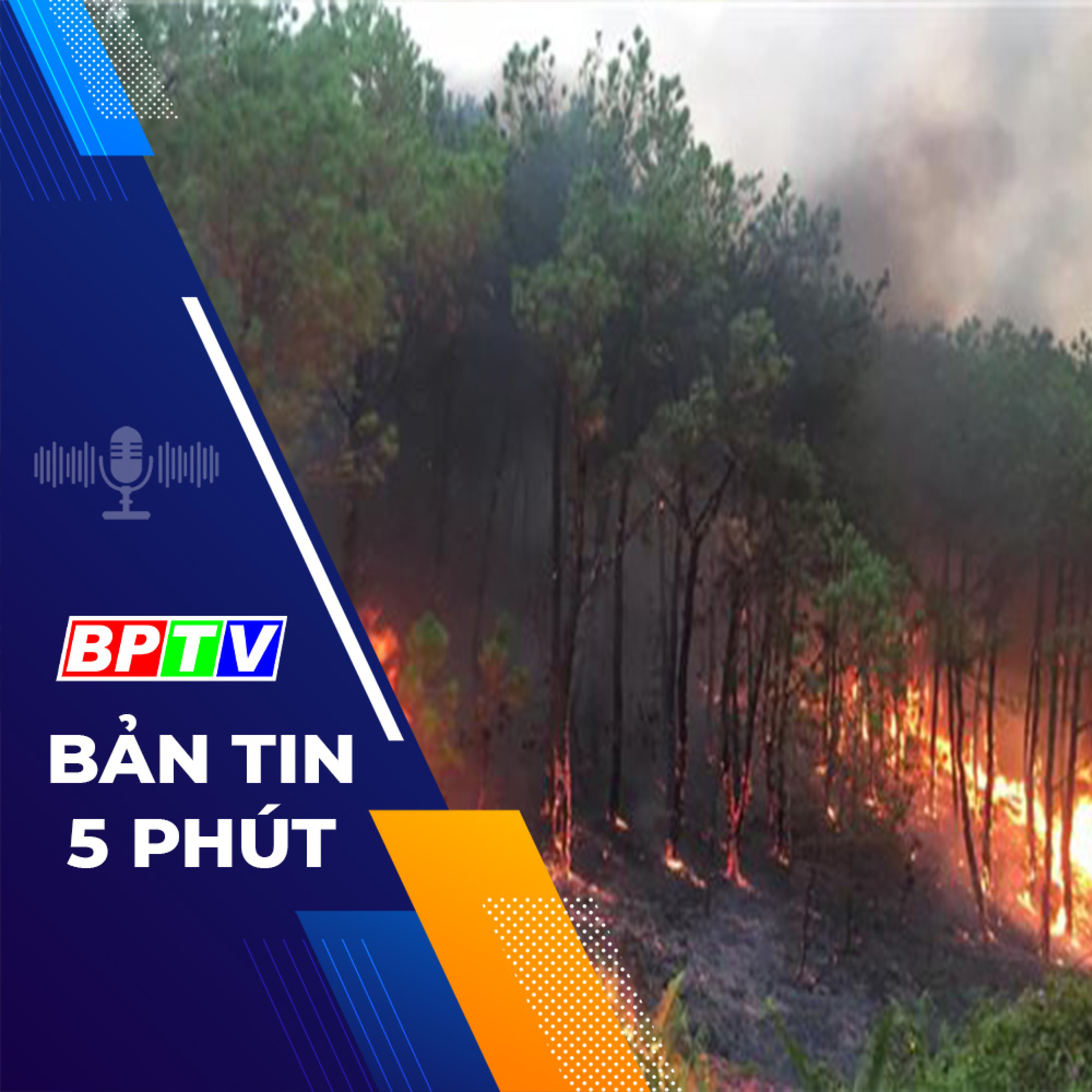 5 phút trưa nay 5-4-2024 episode artwork