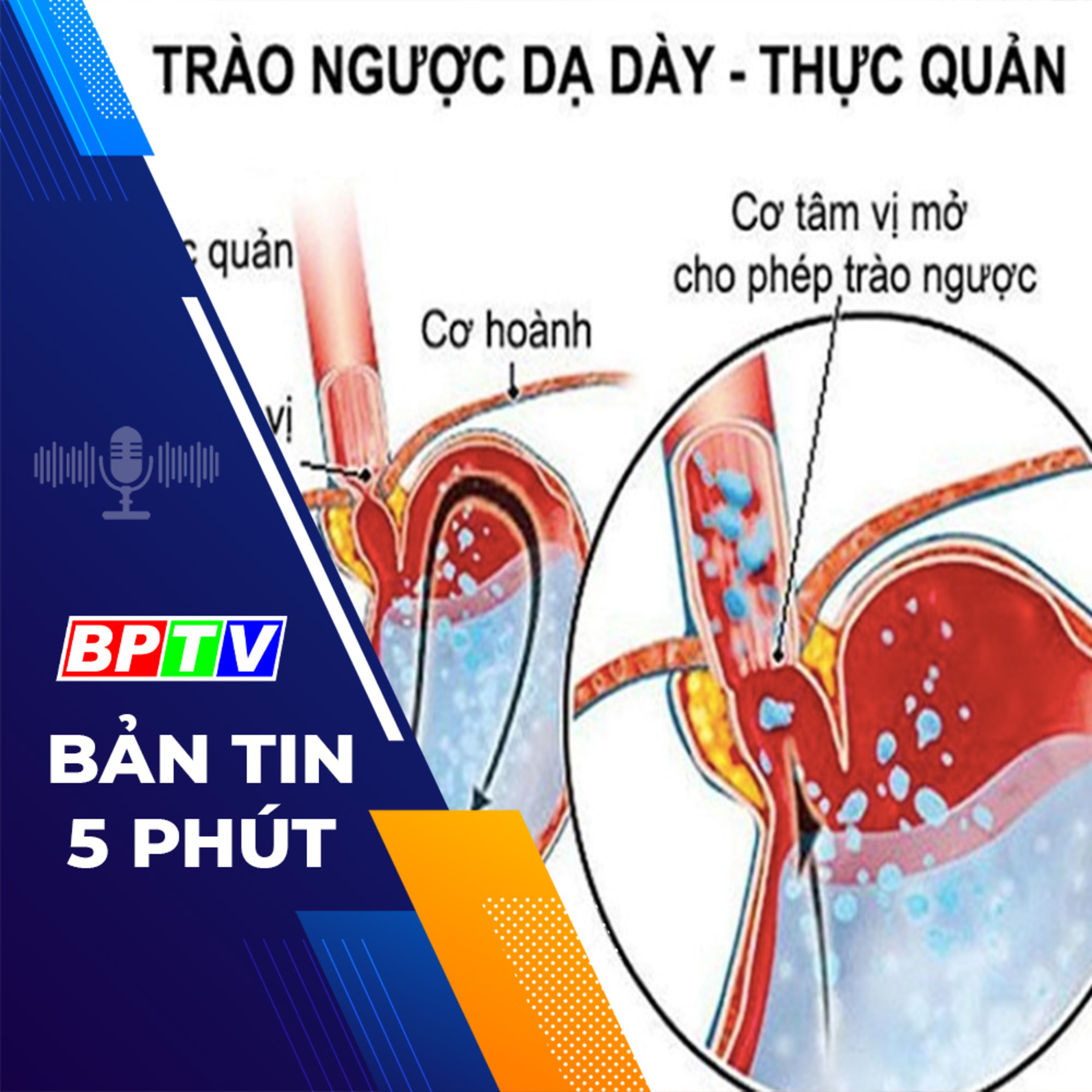 5 phút trưa nay 7-4-2024 episode artwork