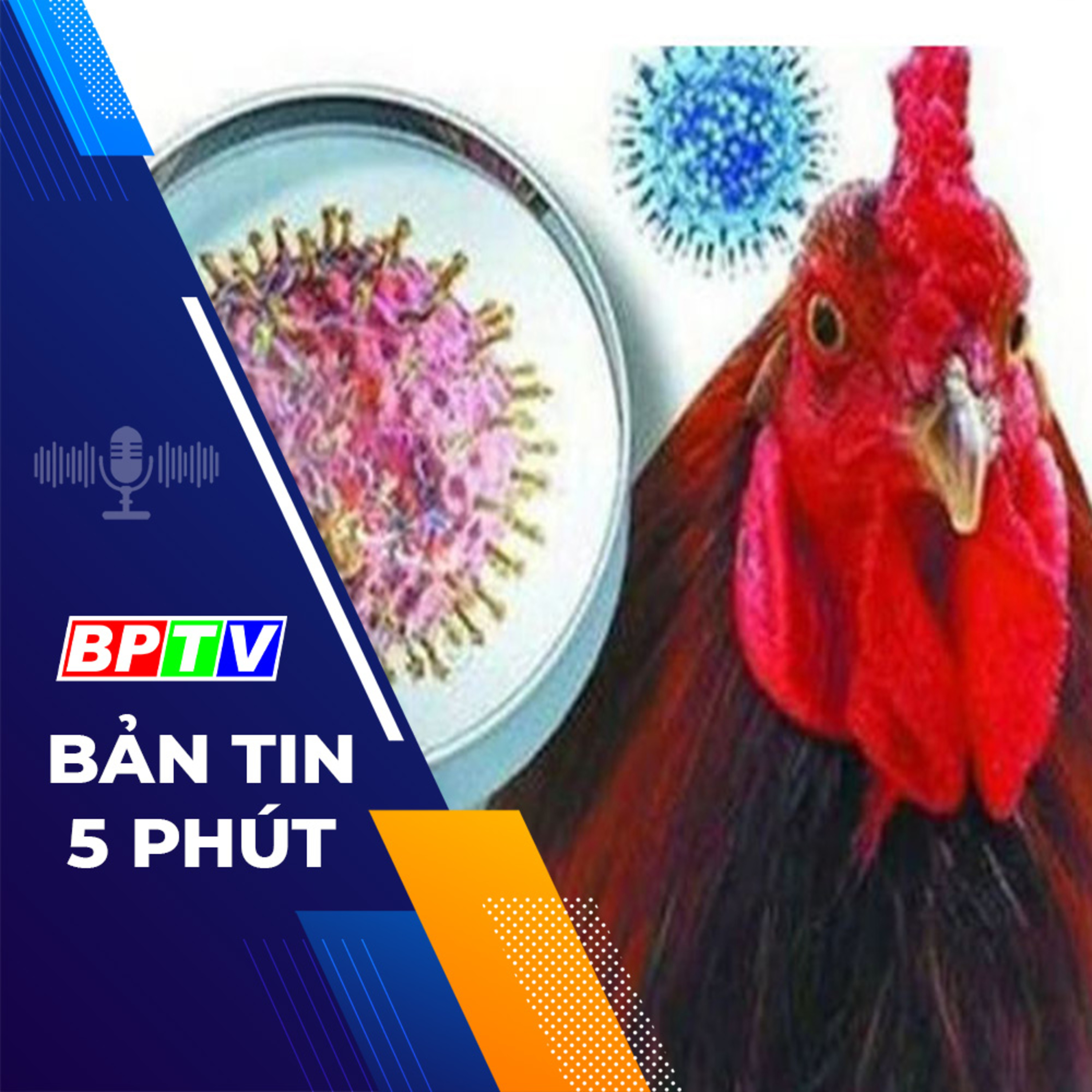 5 phút tối nay 7-4-2024  episode artwork