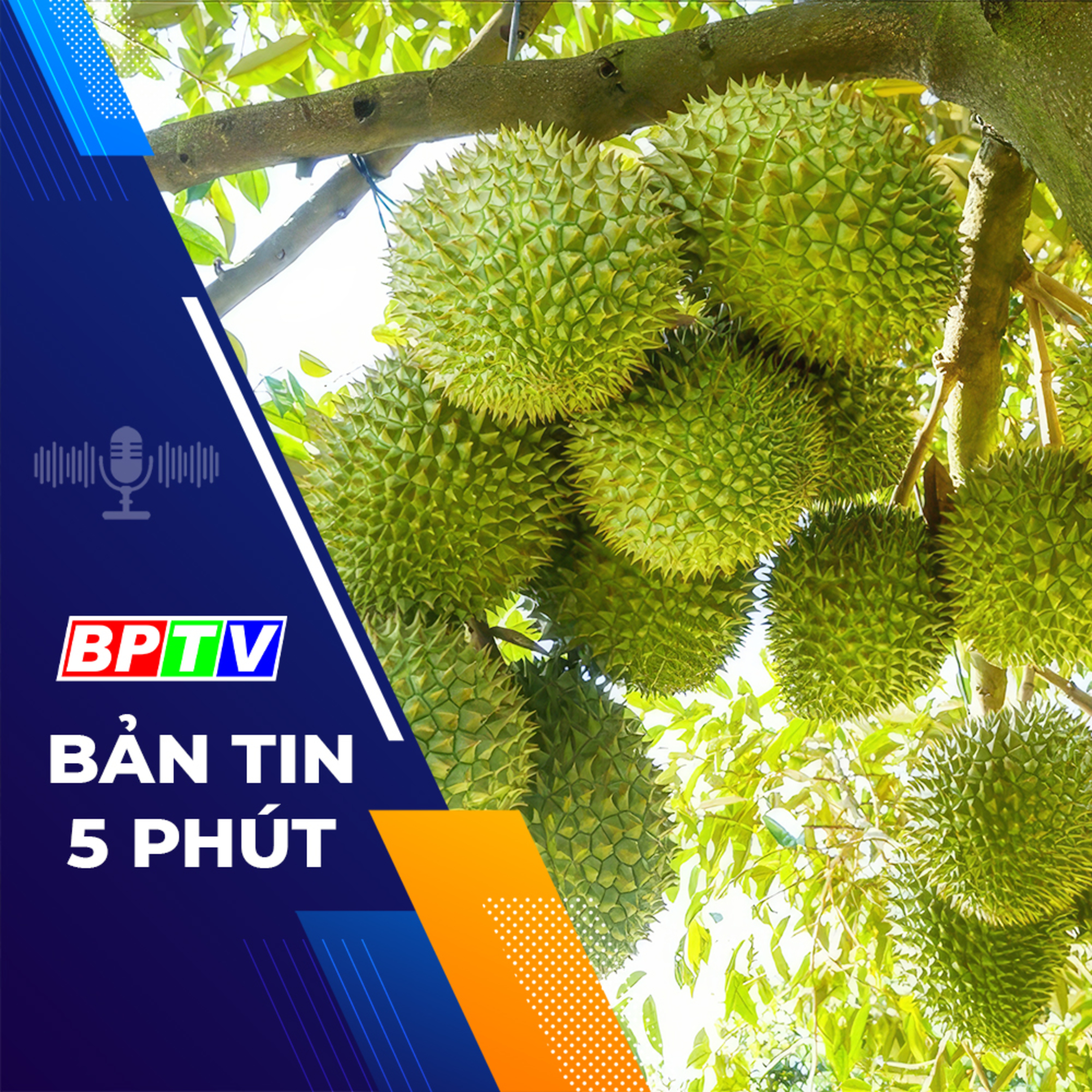 5 phút tối nay 10-4-2024 episode artwork