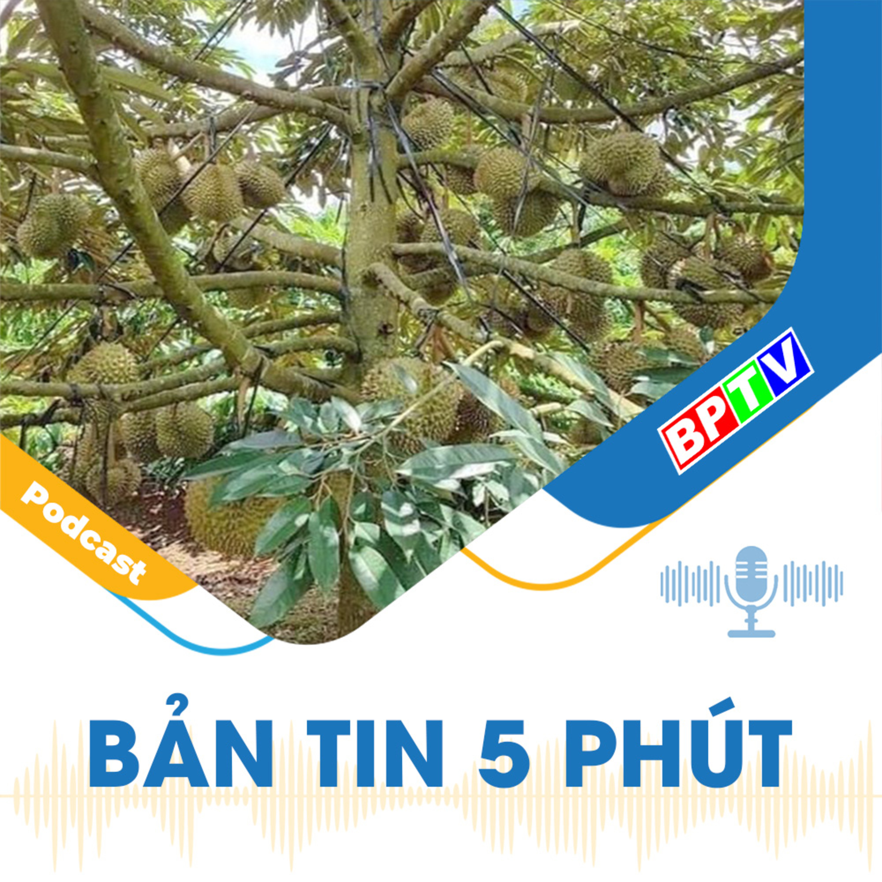 BPTV Podcast