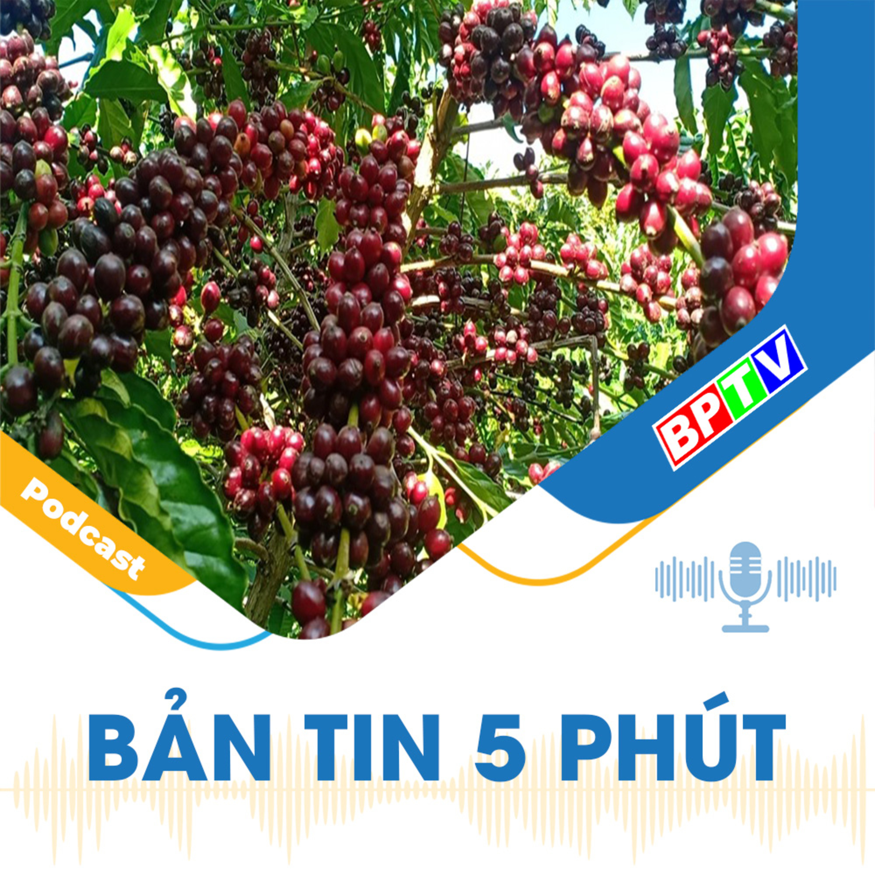 5 phút tối nay 11-5-2024  episode artwork