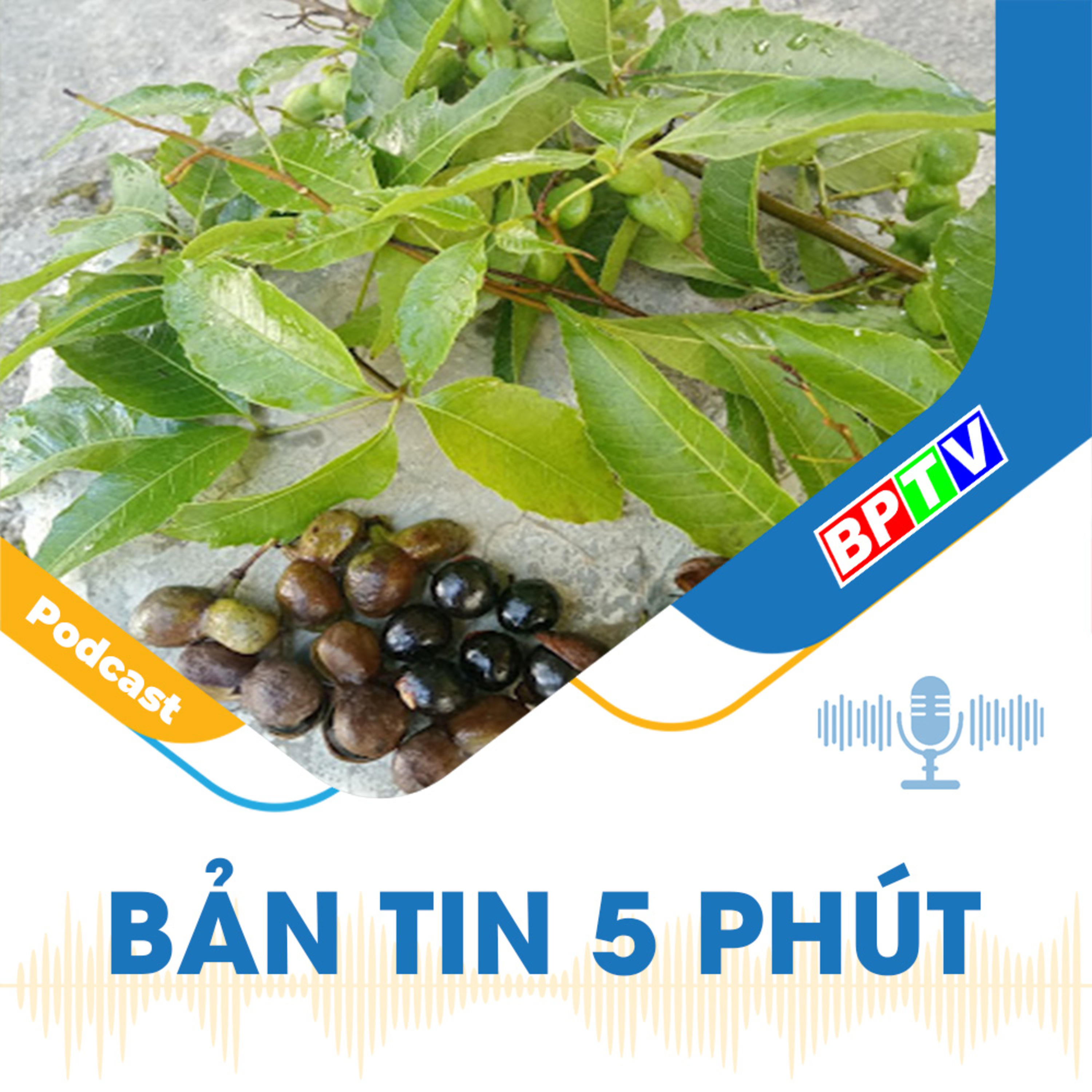 5 phút tối nay 13-5-2024  episode artwork