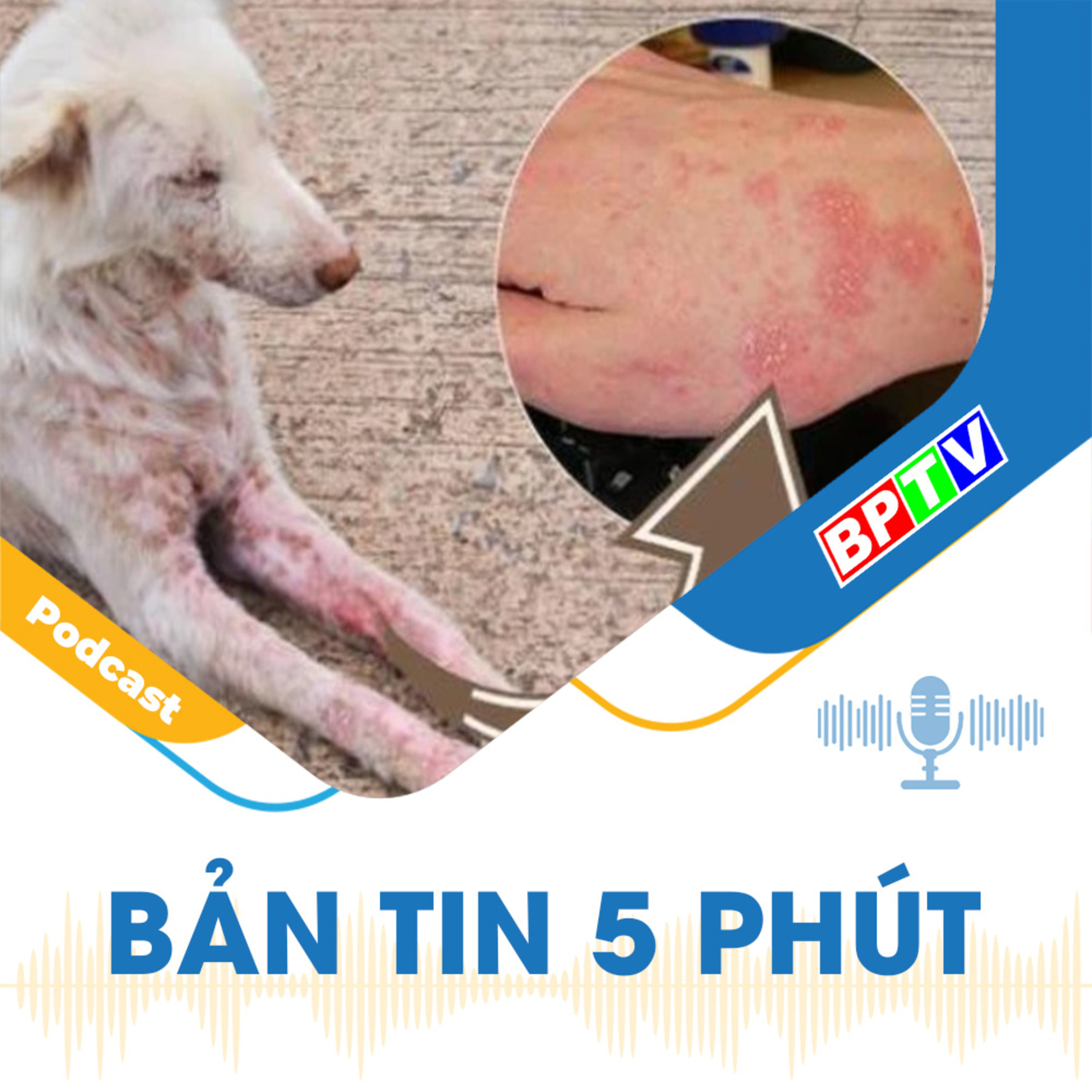 5 phút trưa nay 15-5-2024 episode artwork