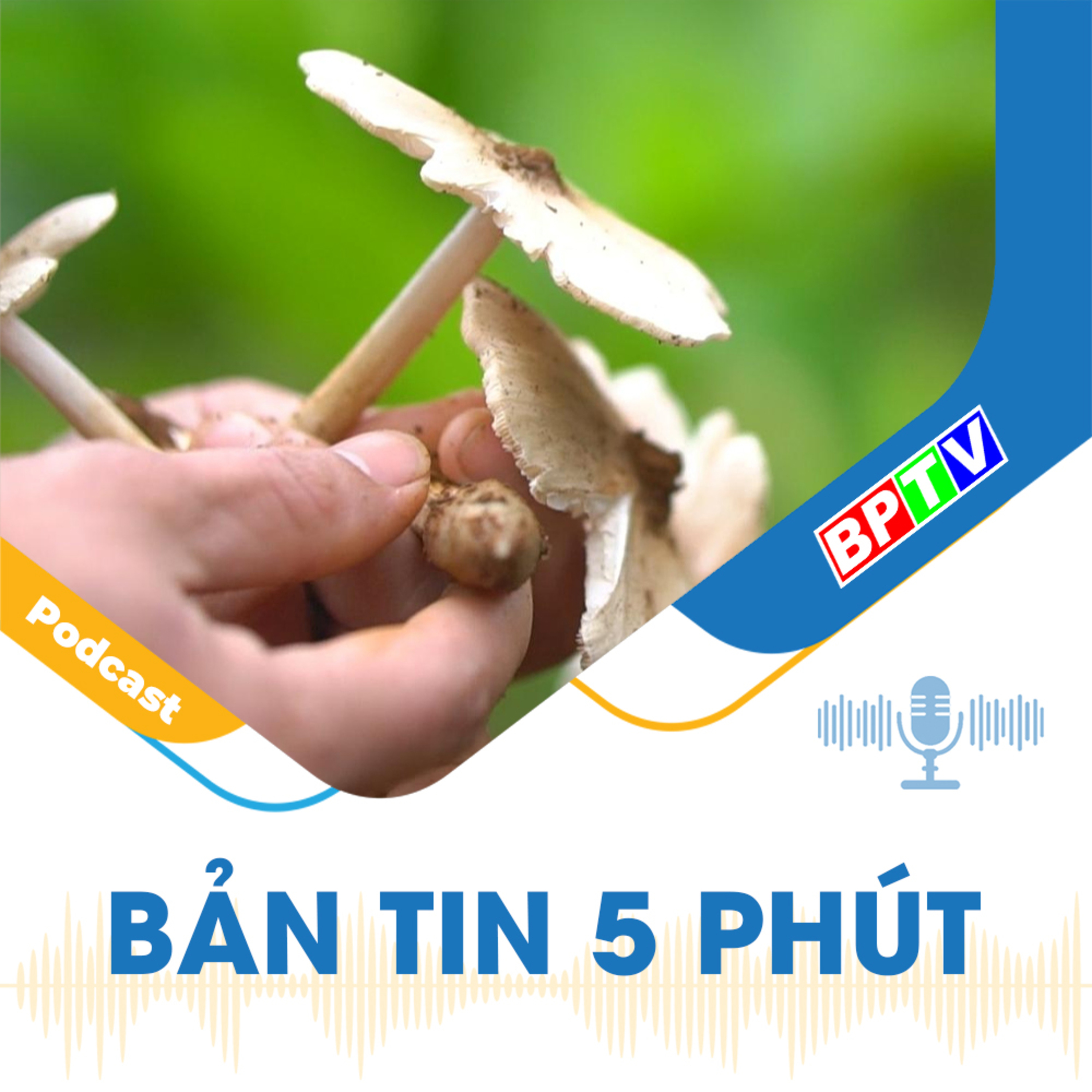 5 phút sáng nay 30-5-2024 episode artwork