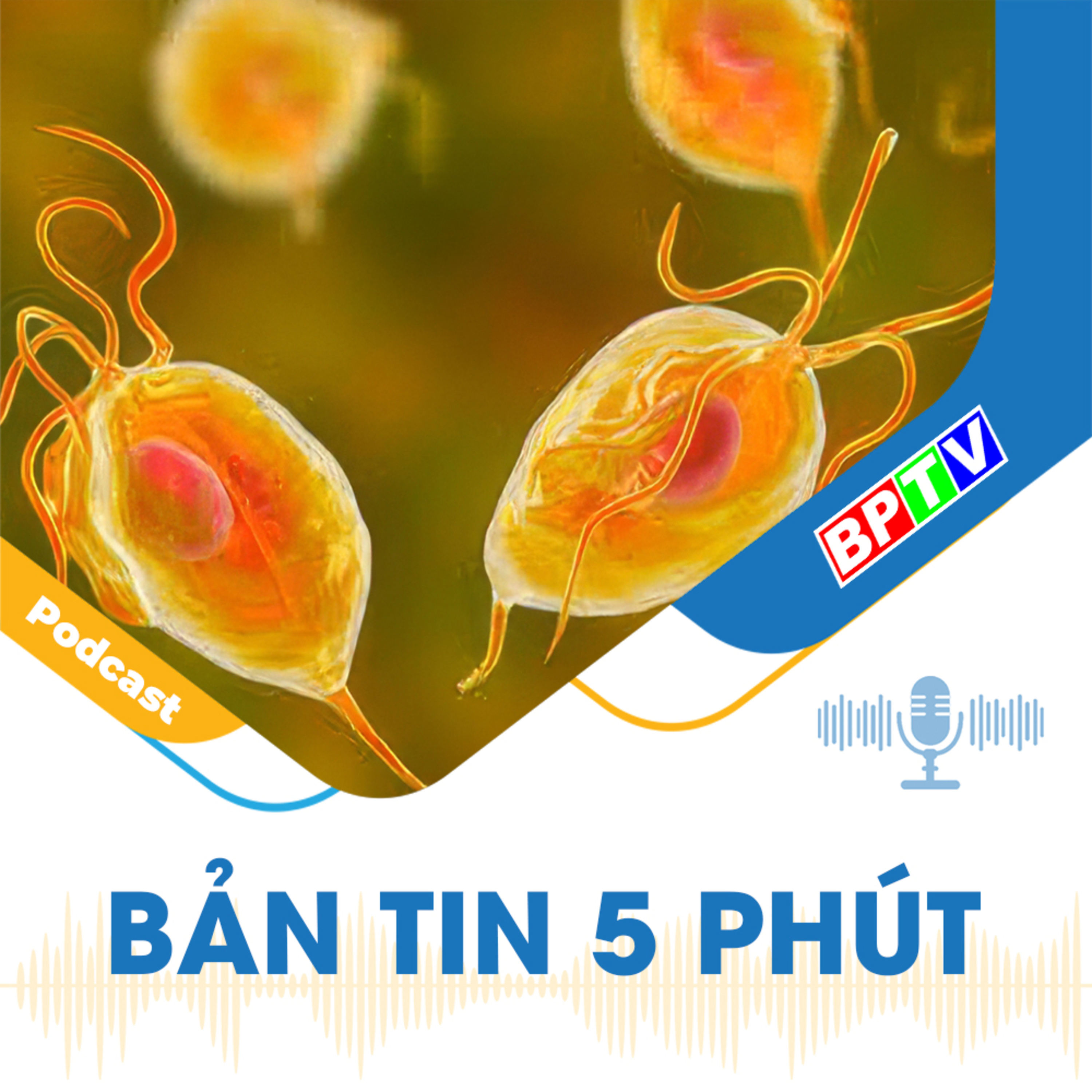 BPTV Podcast