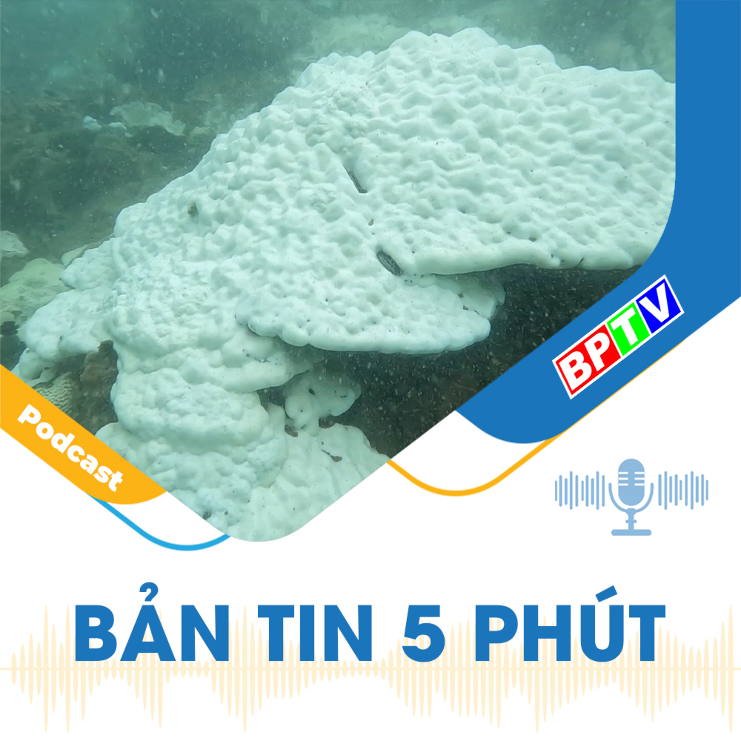 5 phút trưa nay 11-6-2024 episode artwork