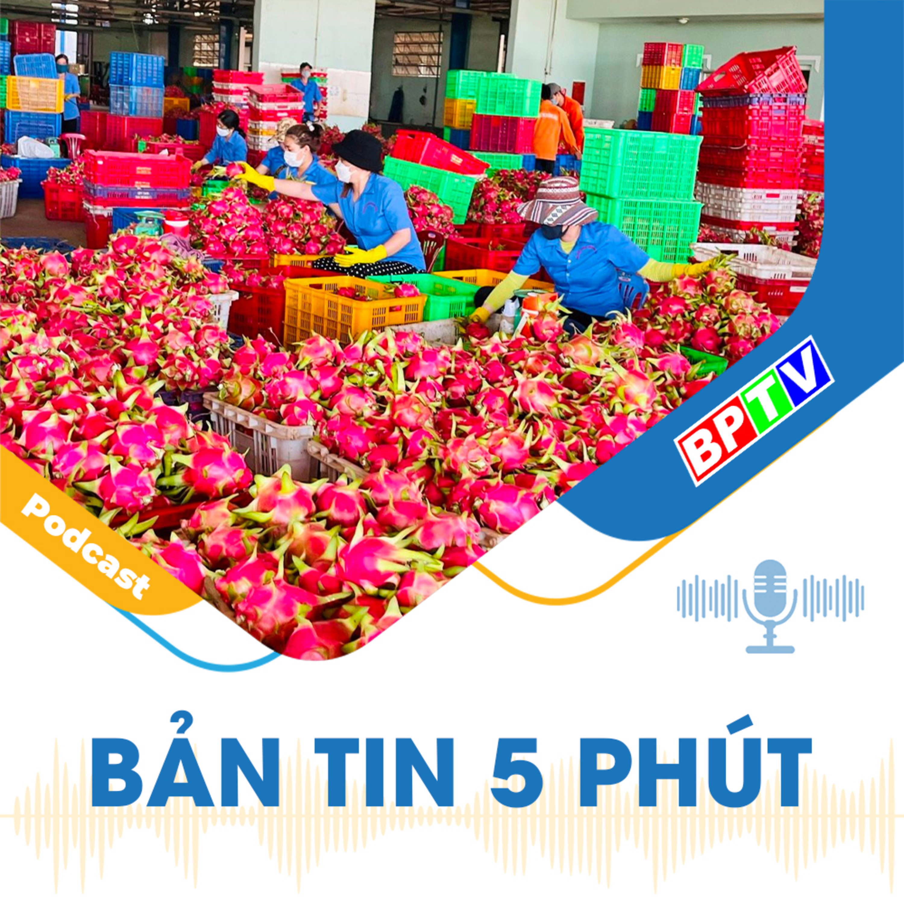  5 phút tối nay 25-6-2024 episode artwork