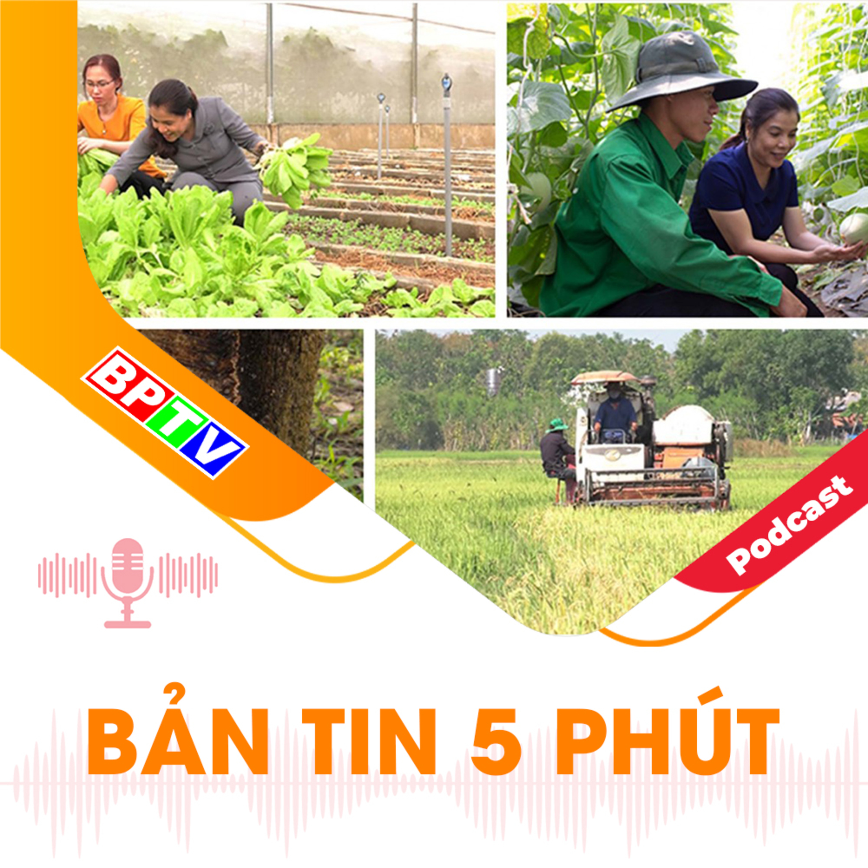 5 phút trưa nay 31-7-2024 episode artwork