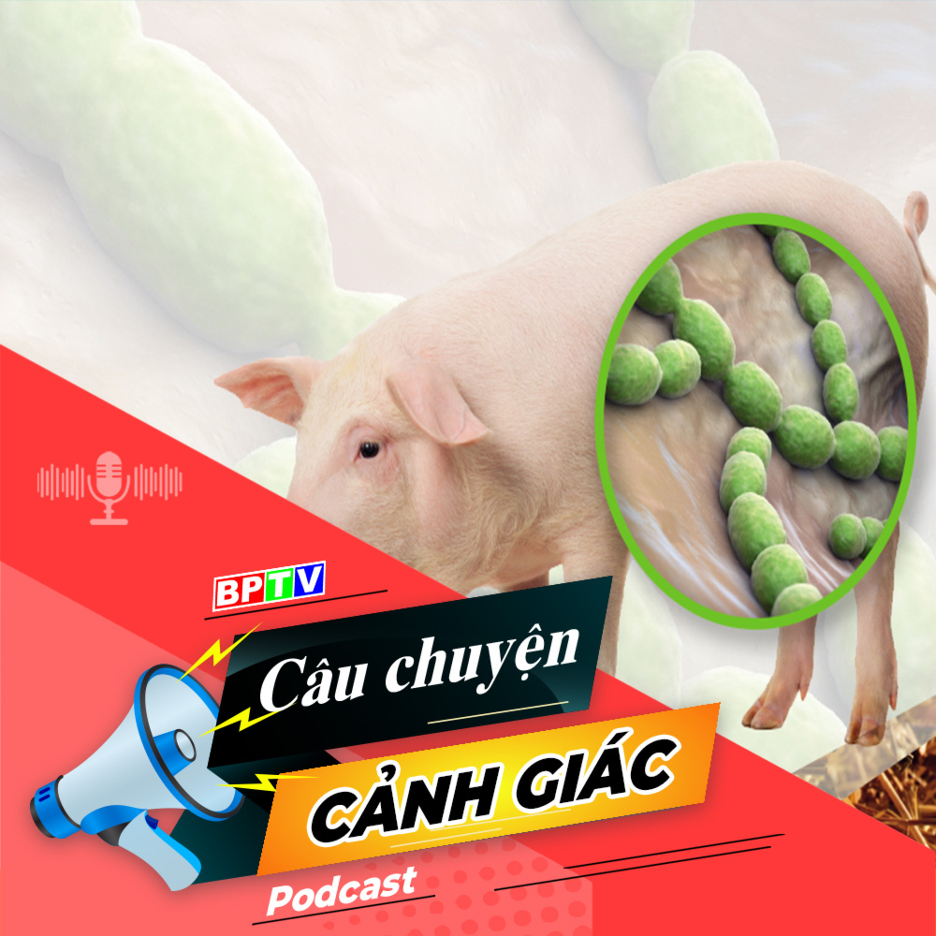 Cảnh giác với bệnh liên cầu khuẩn lợn ở người | Câu chuyện cảnh giác episode artwork