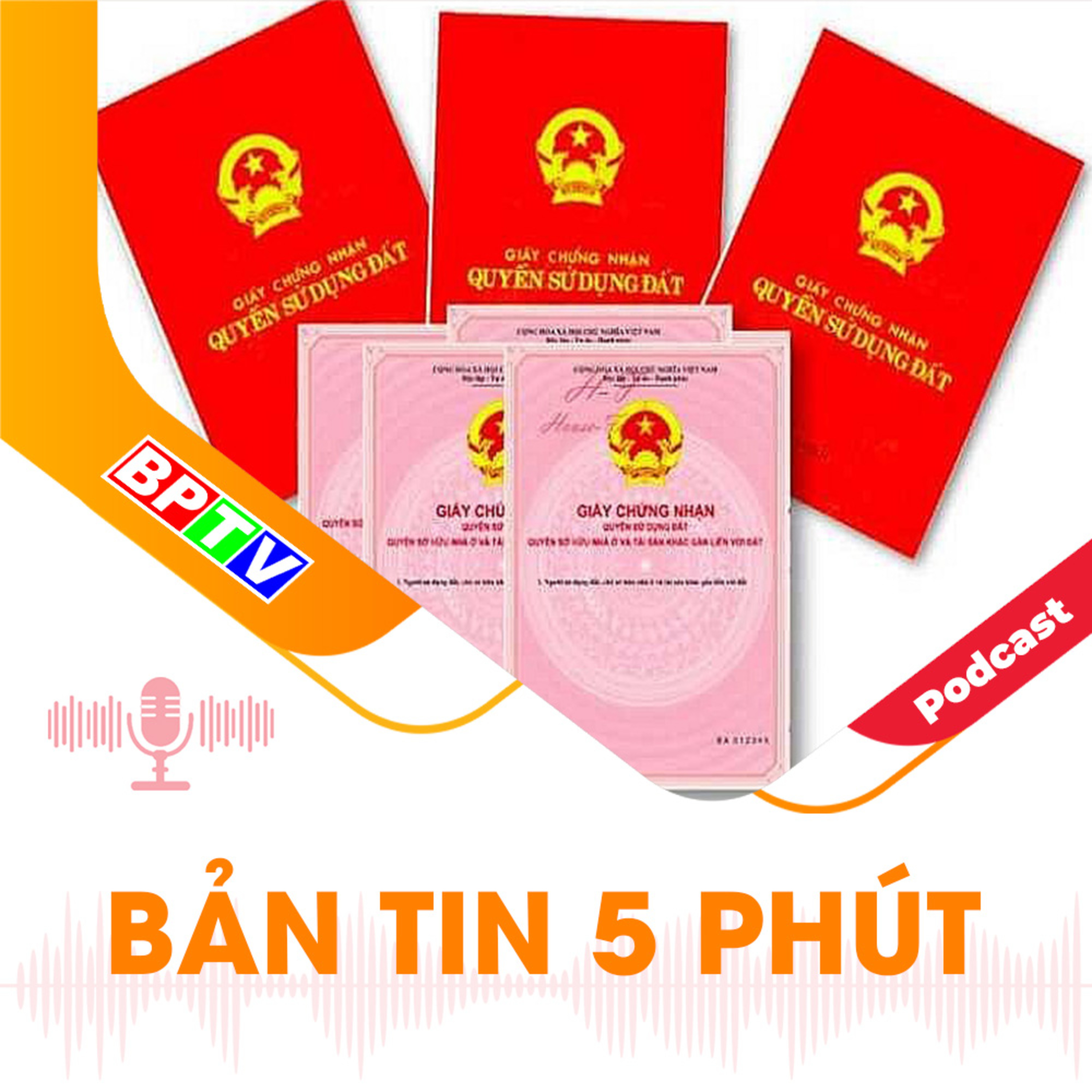5 phút trưa nay 11-8-2024 episode artwork