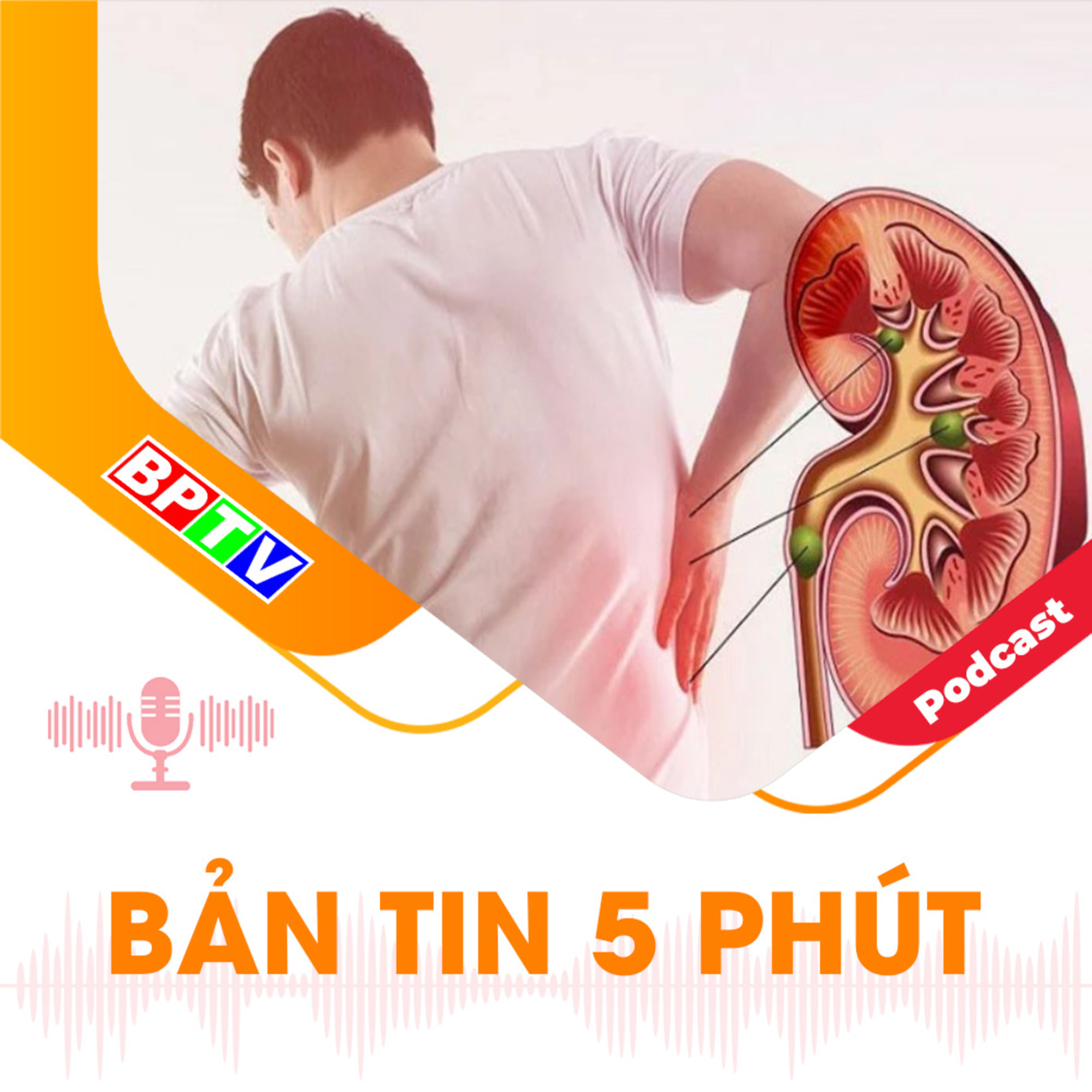 5 phút tối nay 13-8-2024  episode artwork