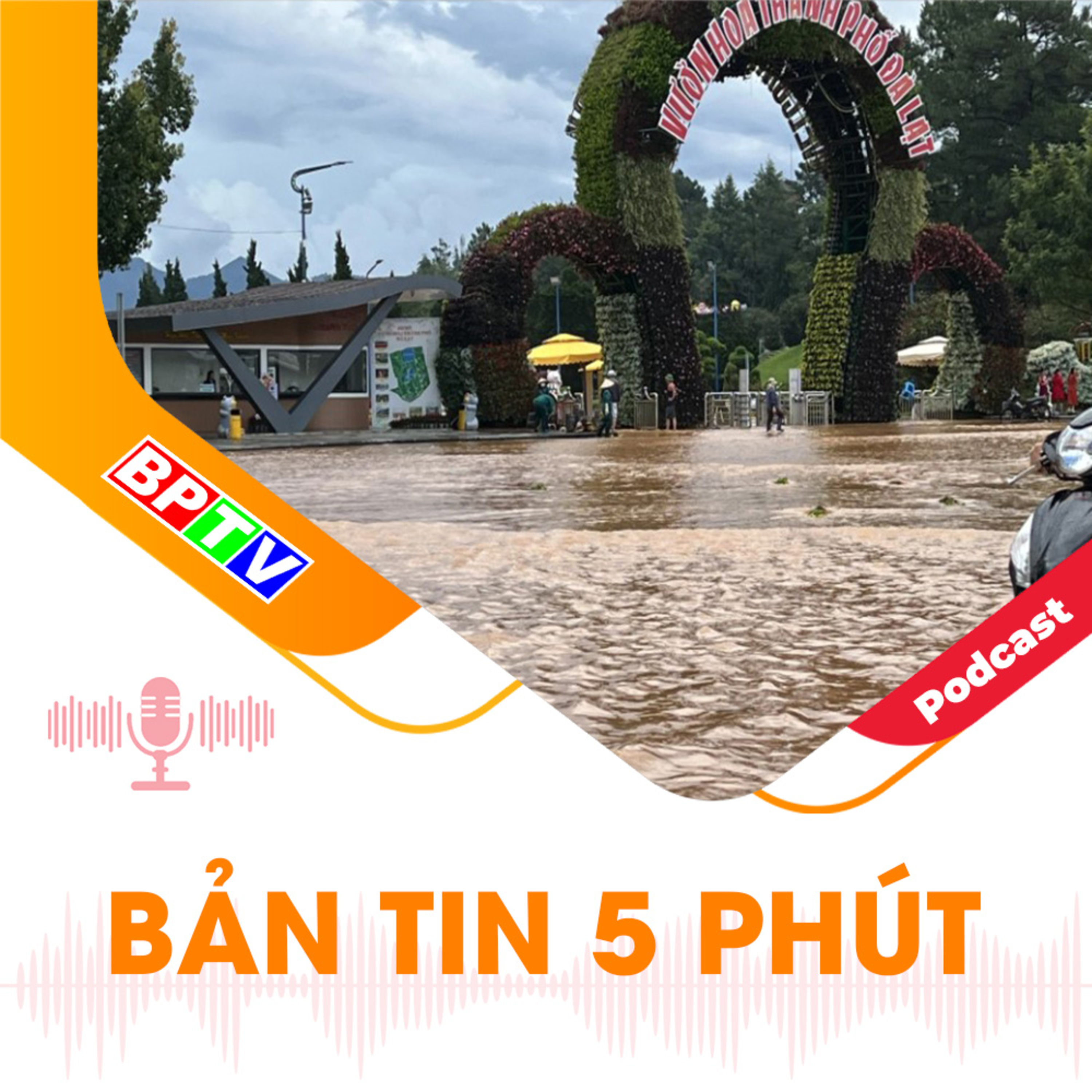 5 phút trưa nay 16-8-2024 episode artwork