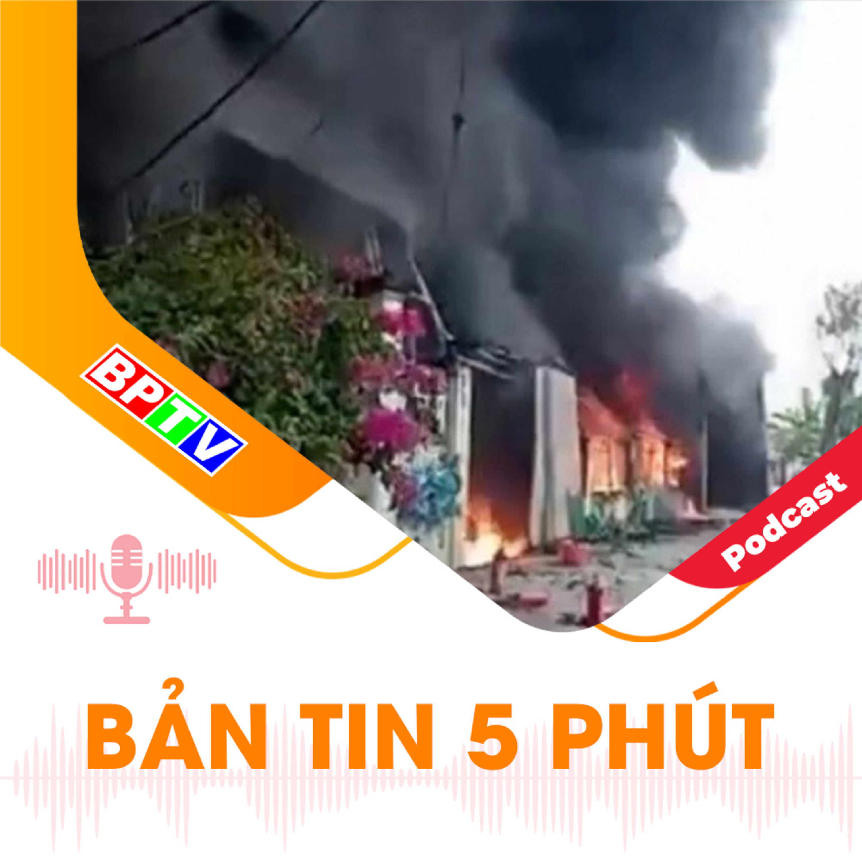 5 phút tối nay 16-8-2024 episode artwork