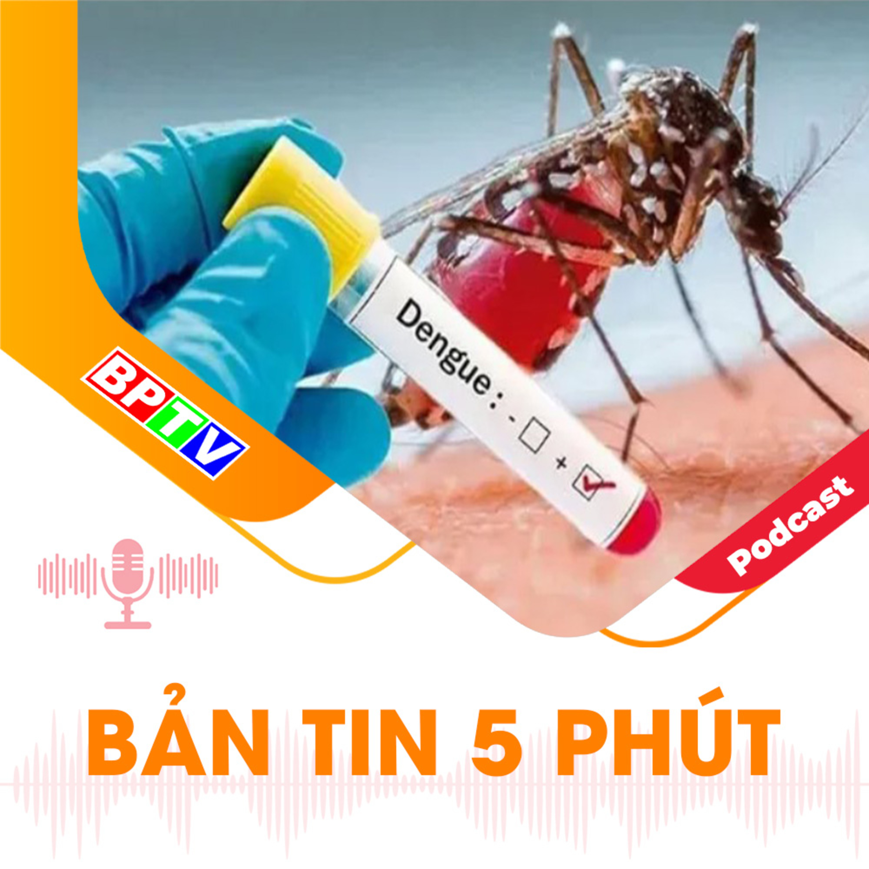 5 phút trưa nay 19-8-2024 episode artwork