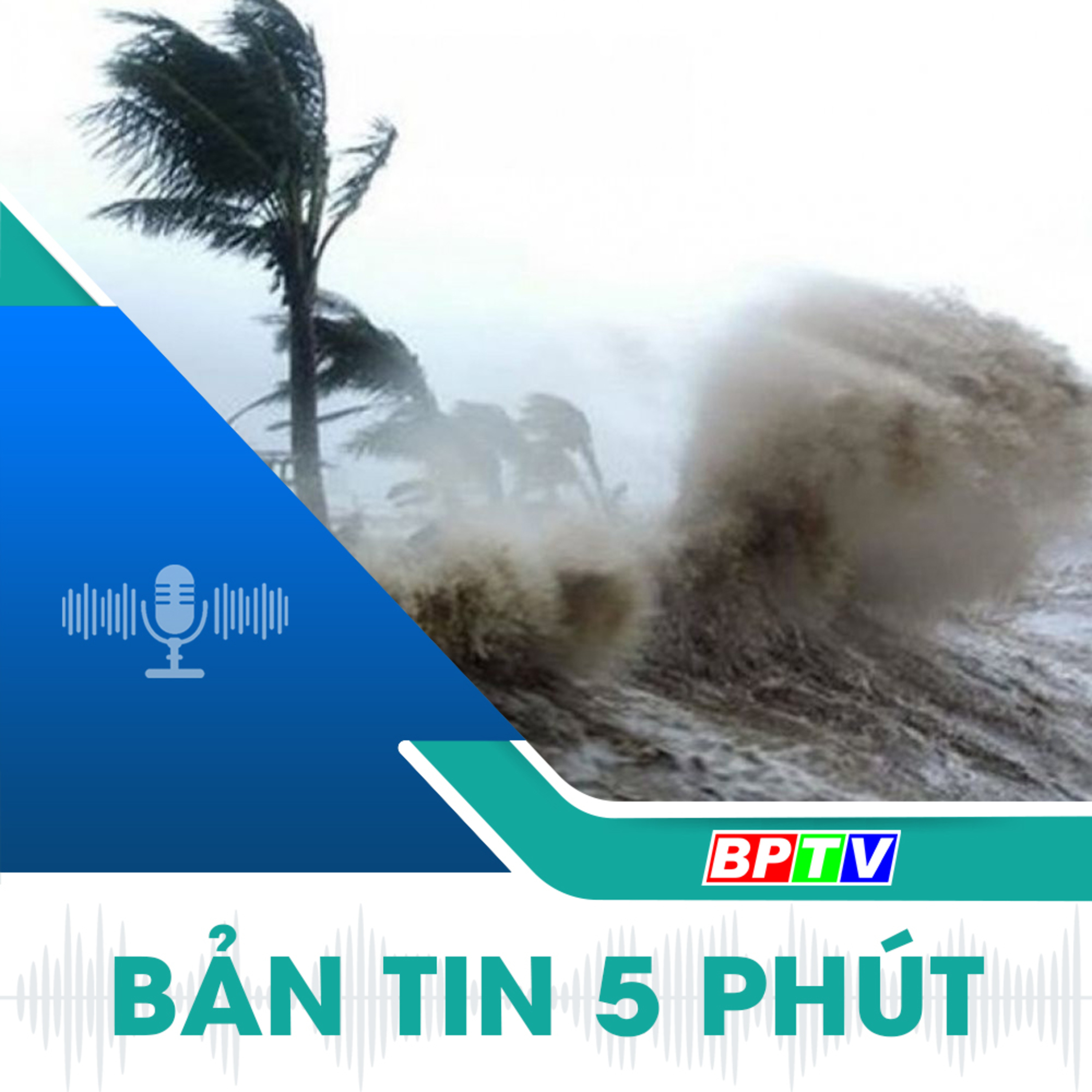 5 phút trưa nay 3-9-2024 episode artwork