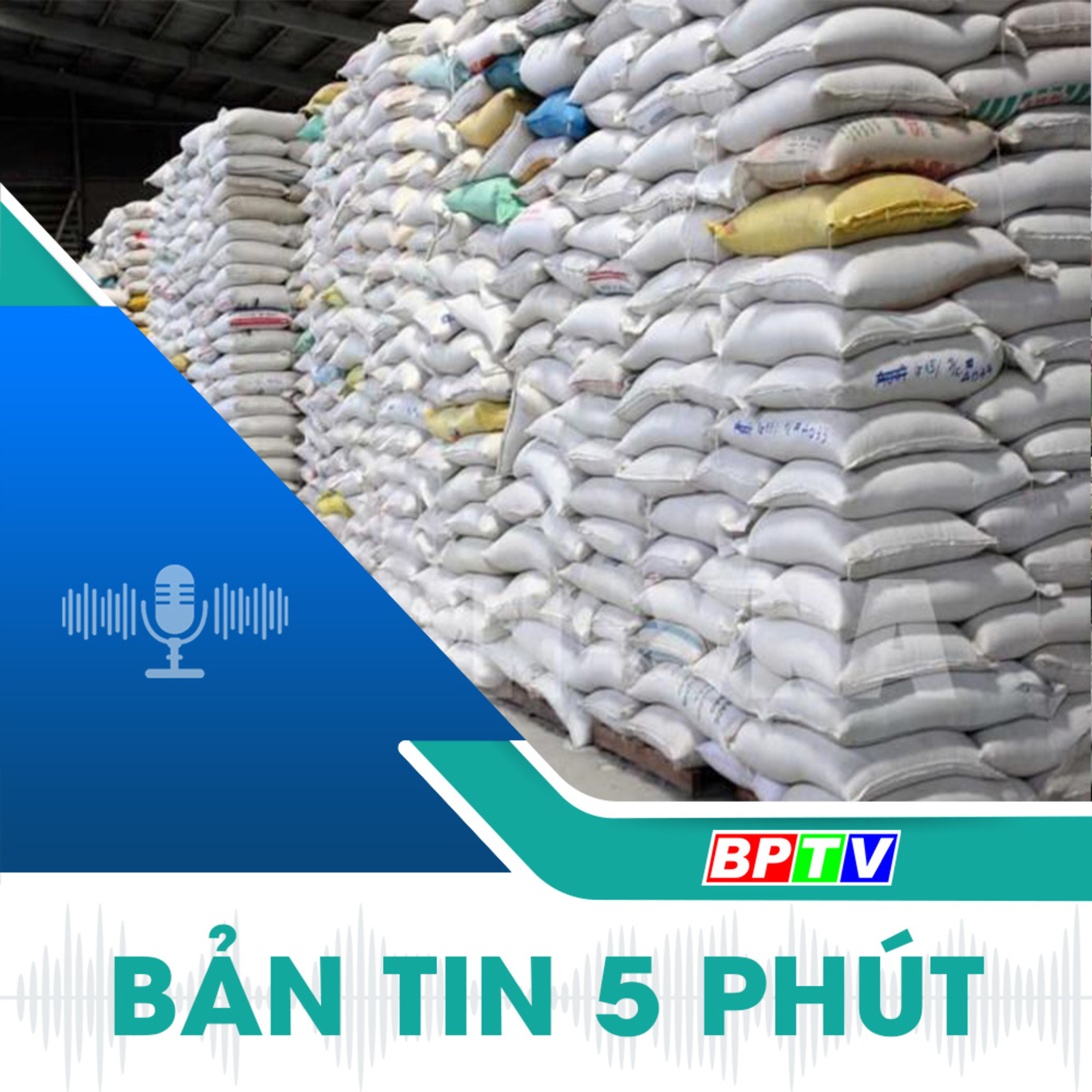 5 phút tối nay 10-9-2024  episode artwork