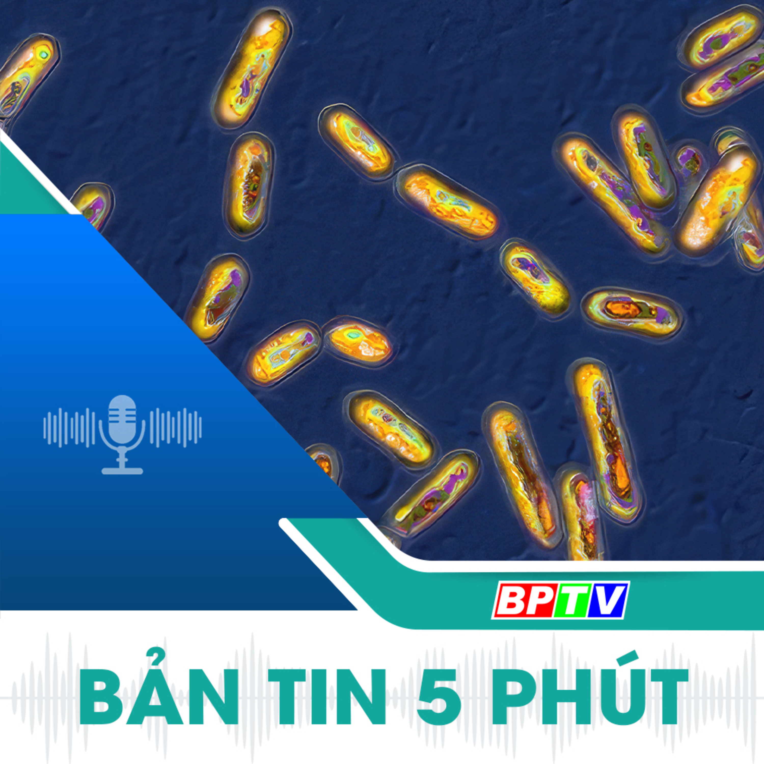 5 phút sáng nay 11-9-2024 episode artwork