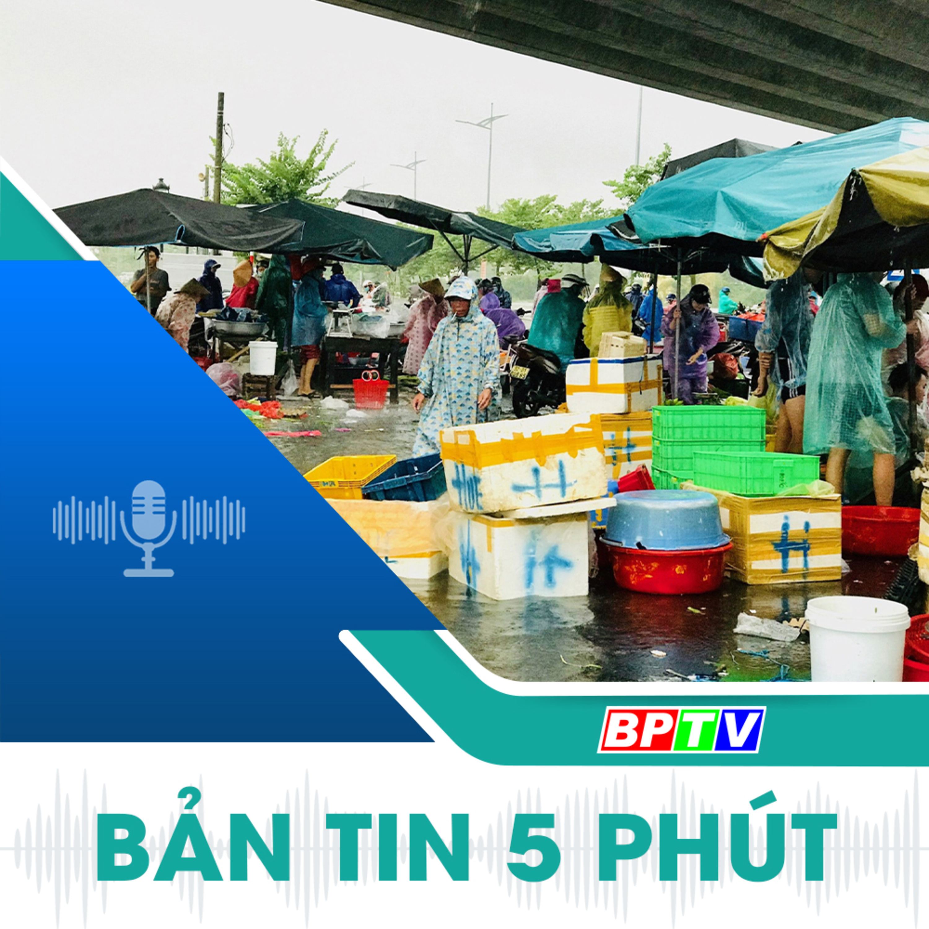 5 phút tối nay 11-9-2024 episode artwork