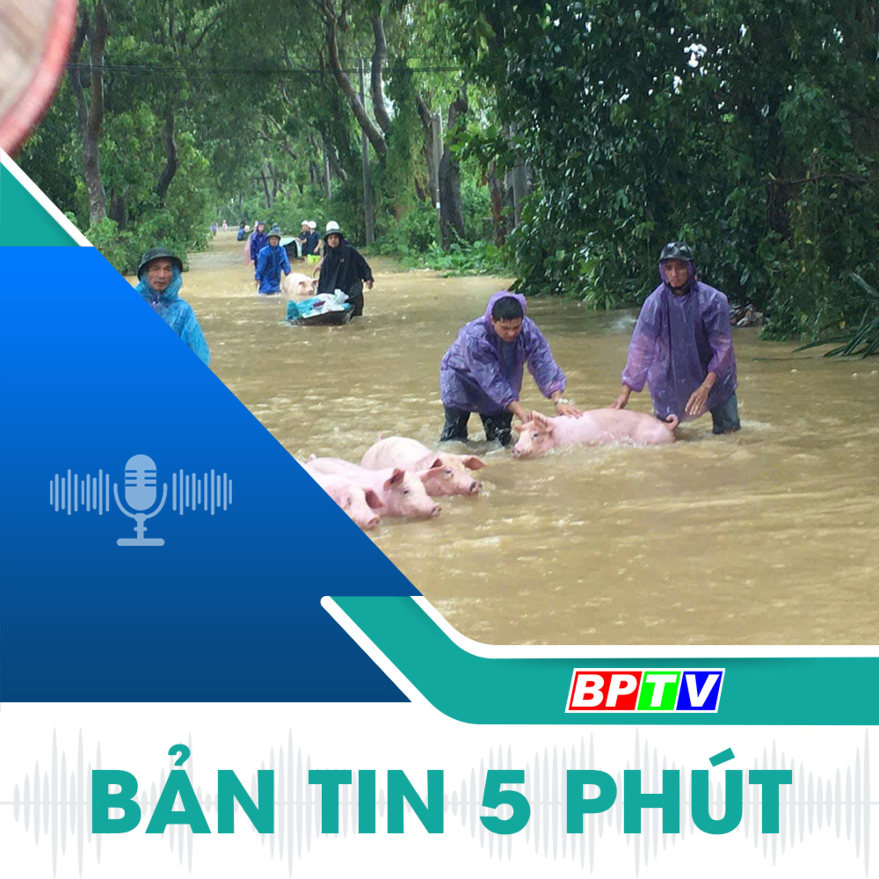 5 phút tối nay 16-9-2024  episode artwork