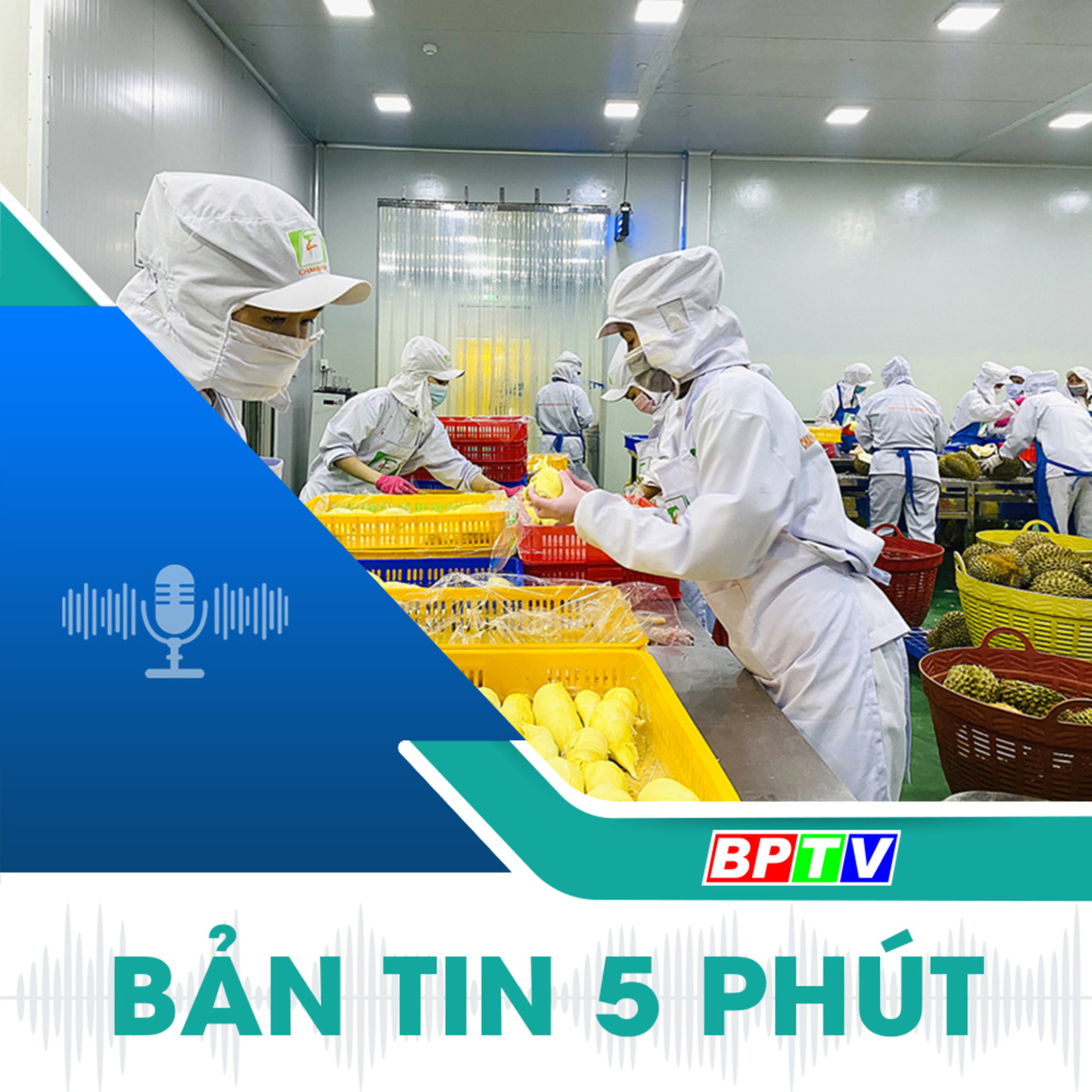 5 phút sáng nay 22-9-2024 episode artwork