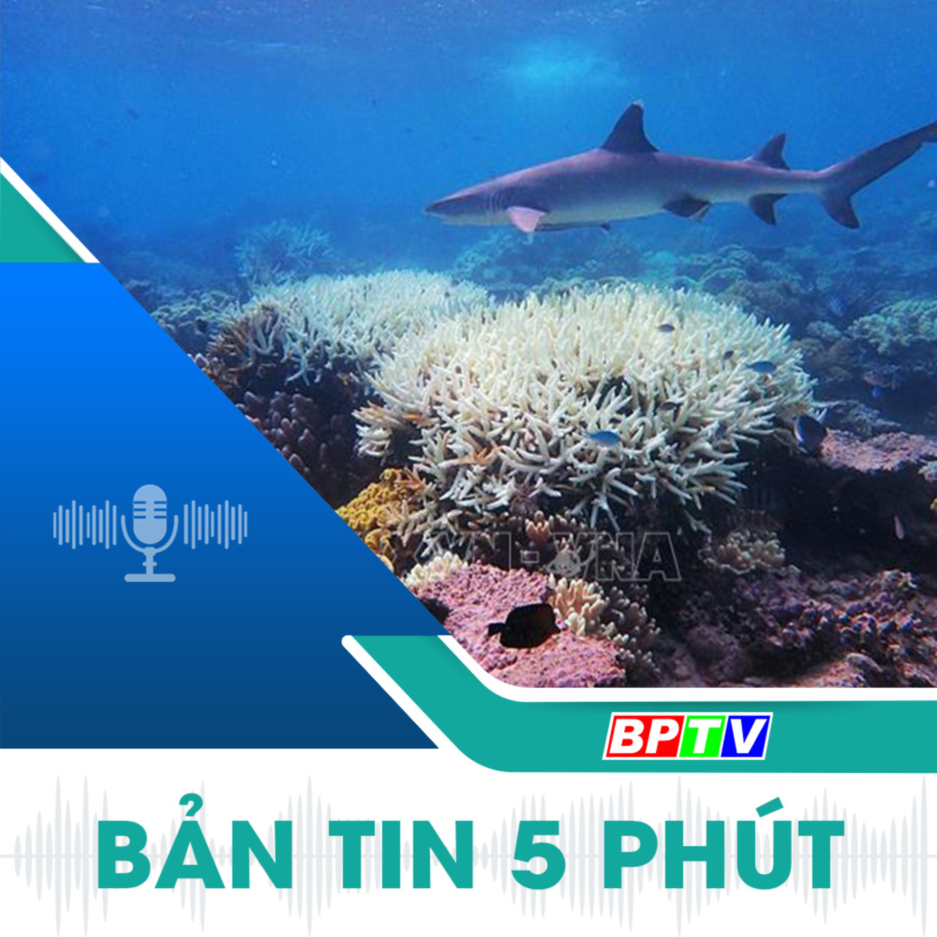 5 phút sáng nay 26-9-2024 episode artwork