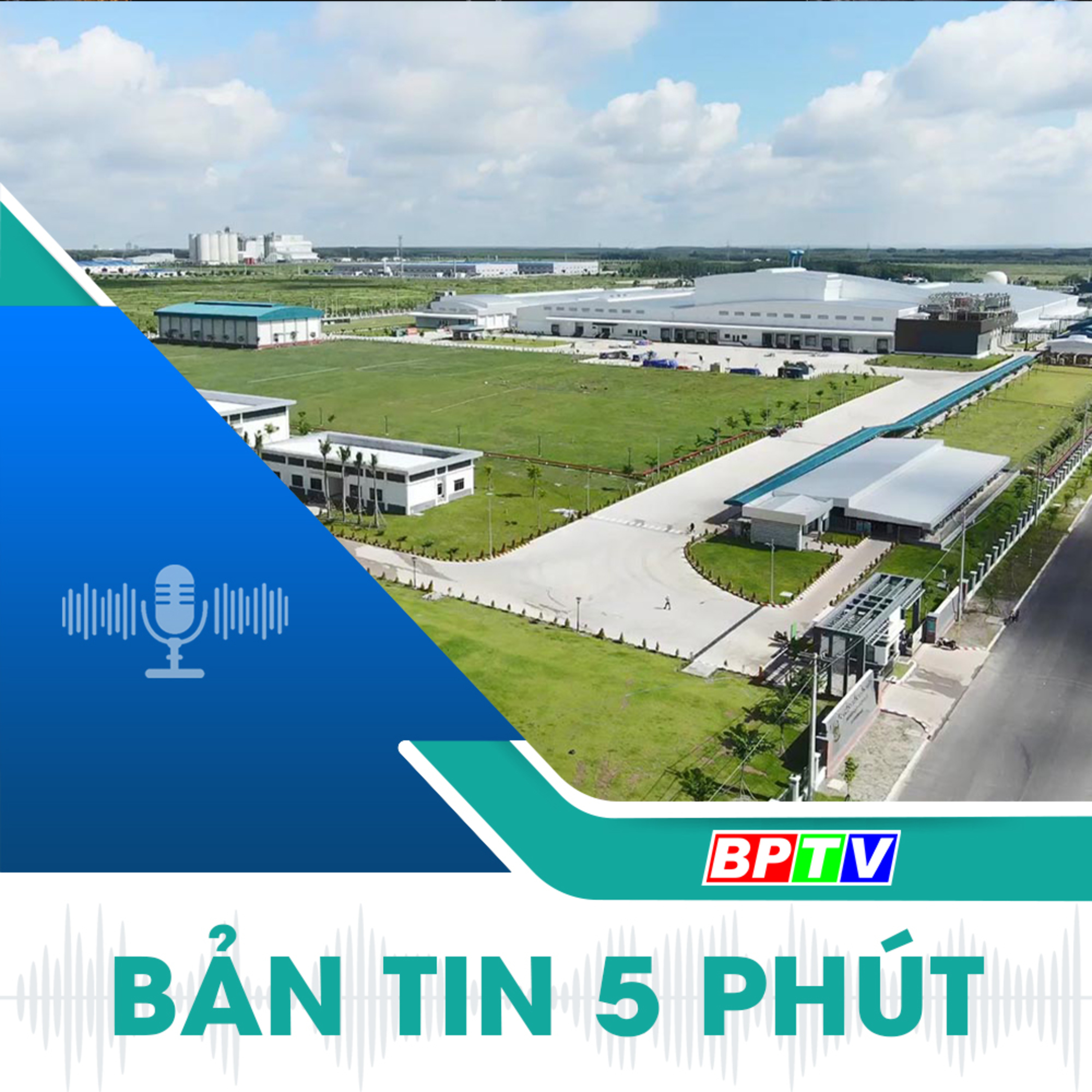 5 phút trưa nay 13-10-2024 episode artwork