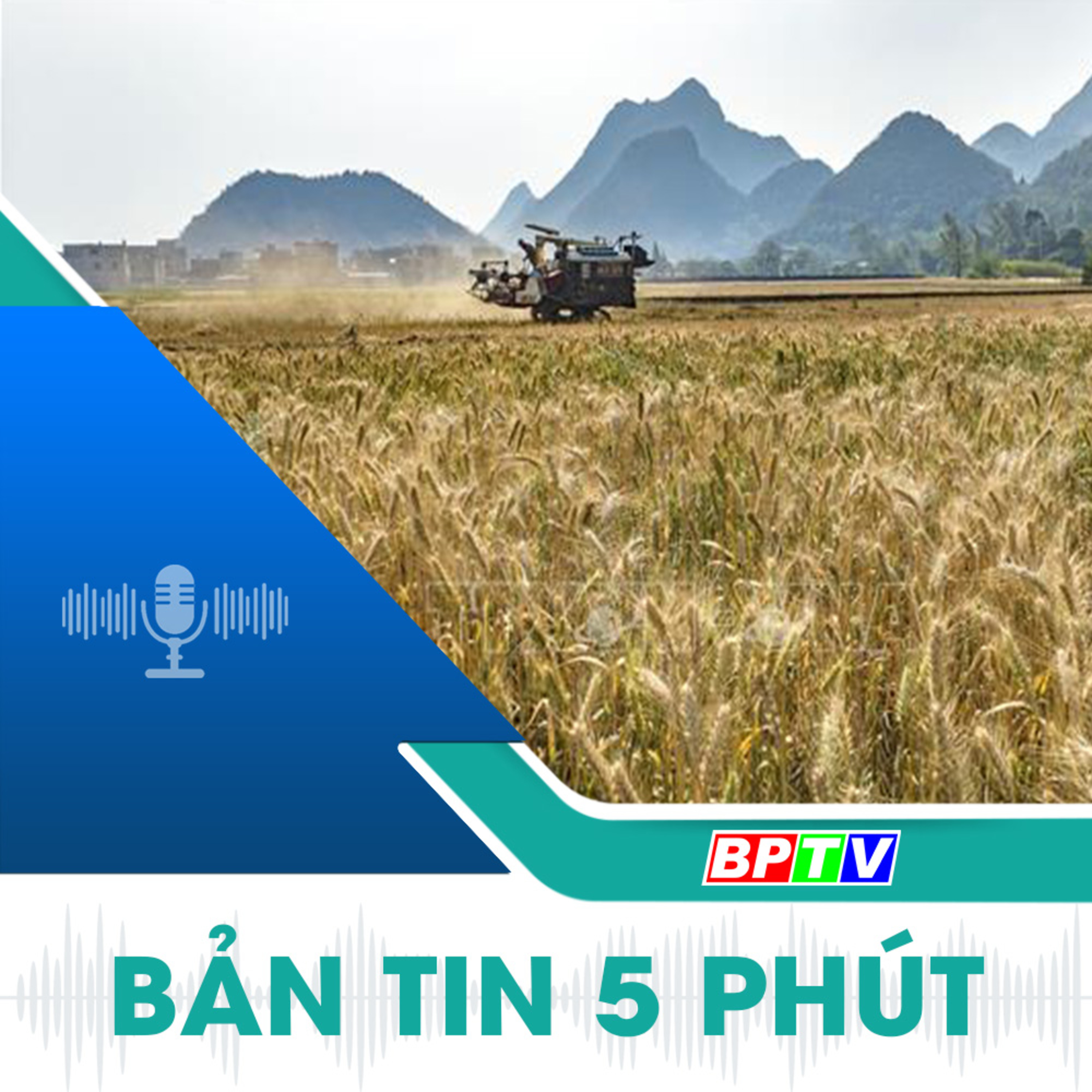 5 phút sáng nay 14-10-2024 episode artwork