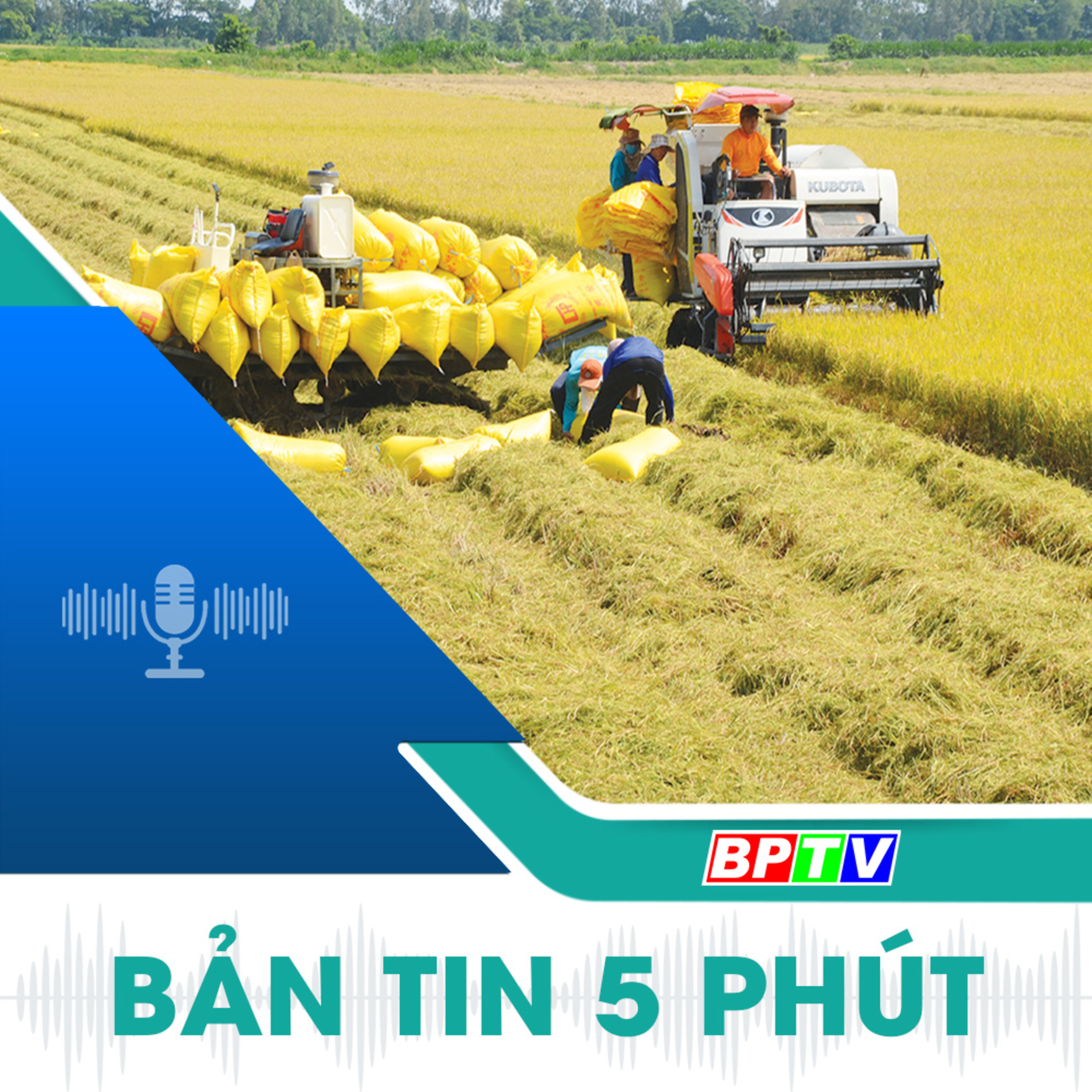 5 phút tối nay 18-10-2024  episode artwork