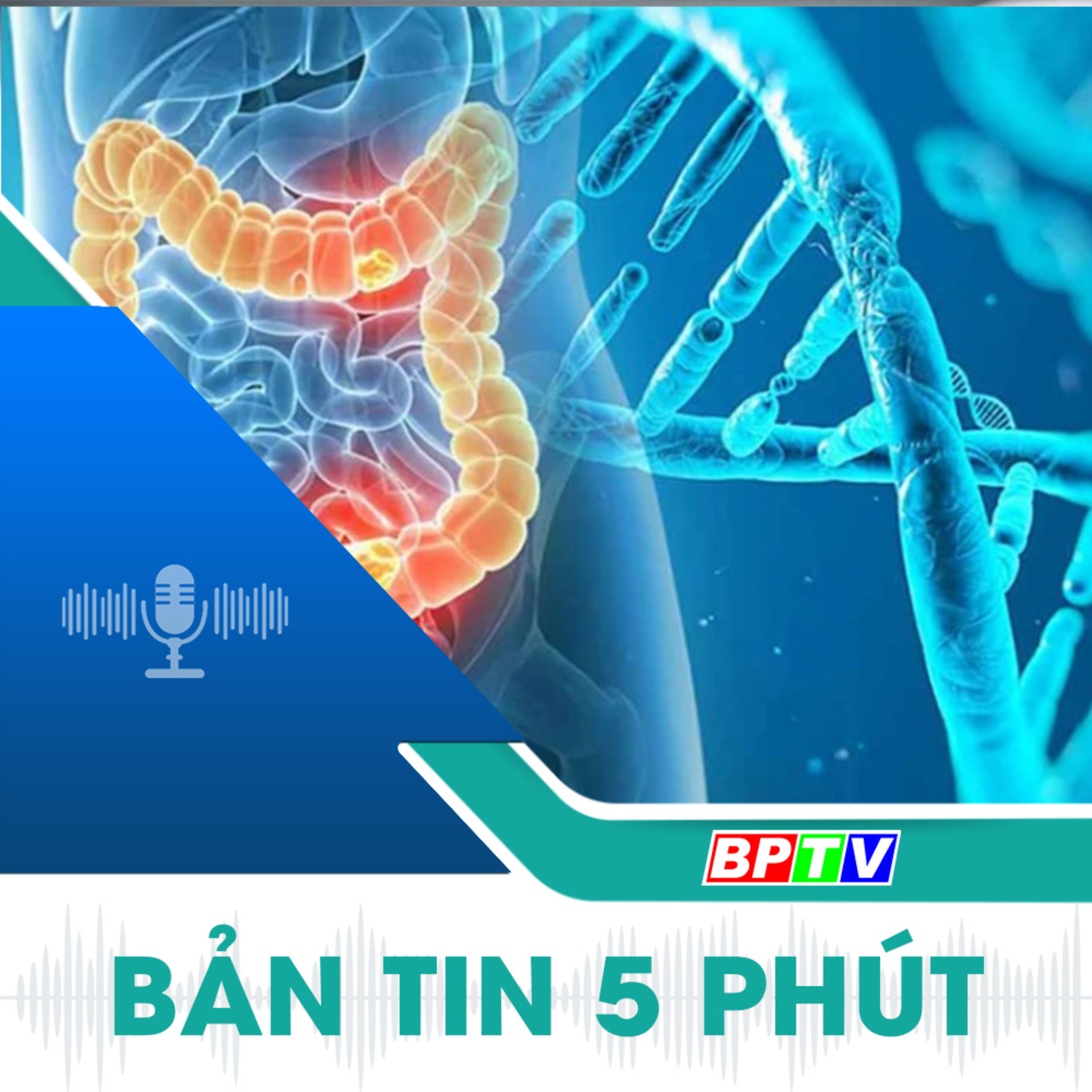 5 phút tối nay 20-10-2024  episode artwork