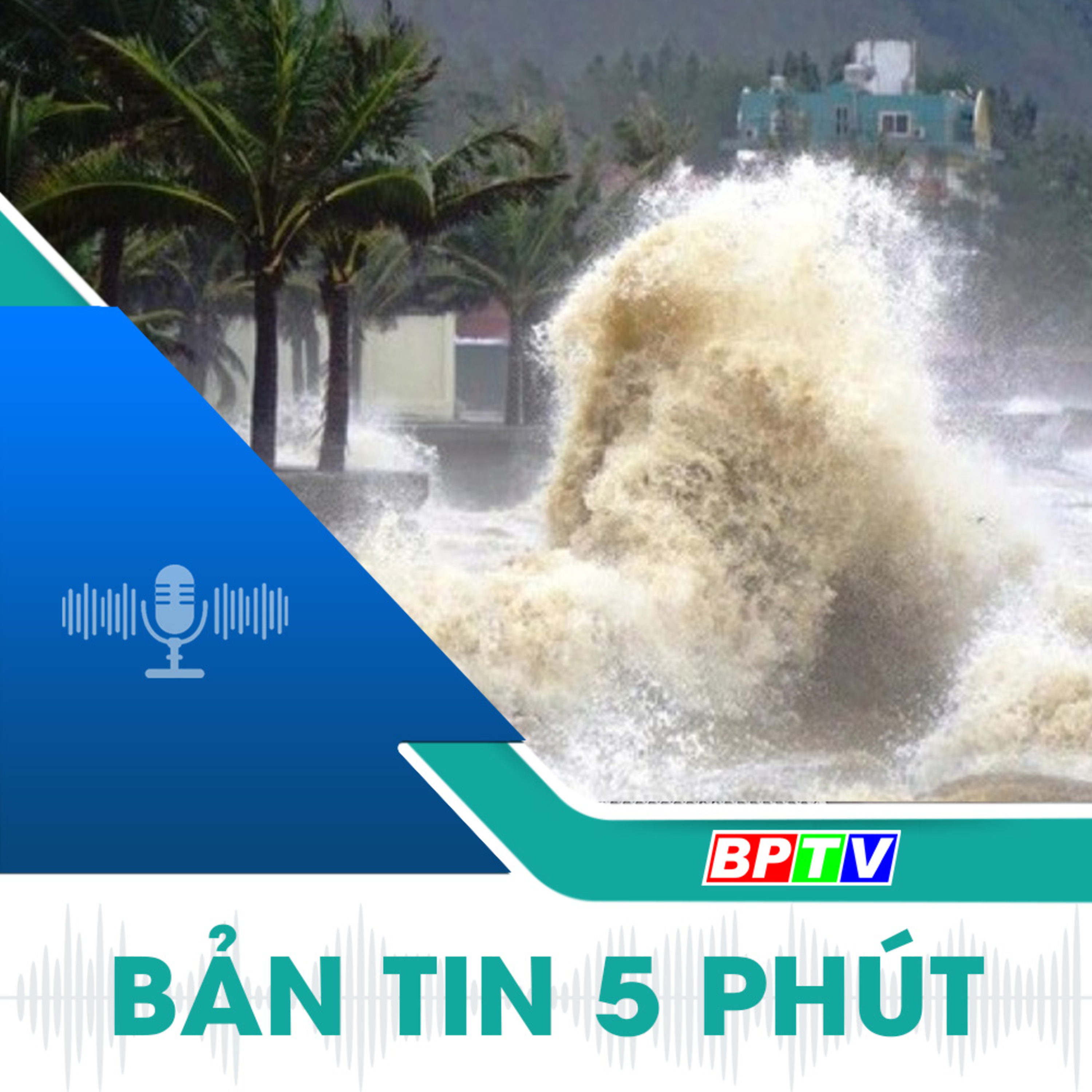 5 phút trưa nay 22-10-2024 episode artwork