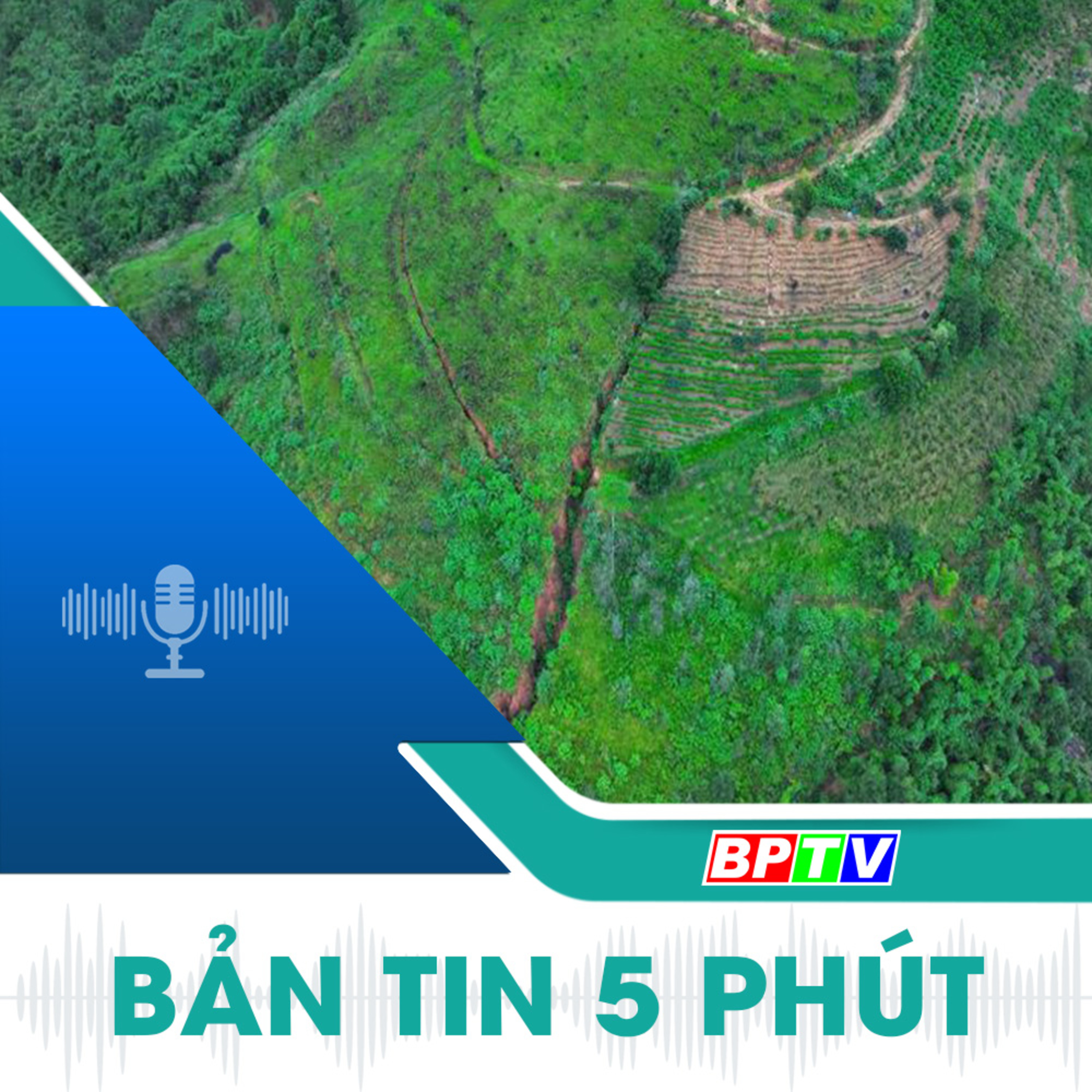 5 phút trưa nay 24-10-2024 episode artwork