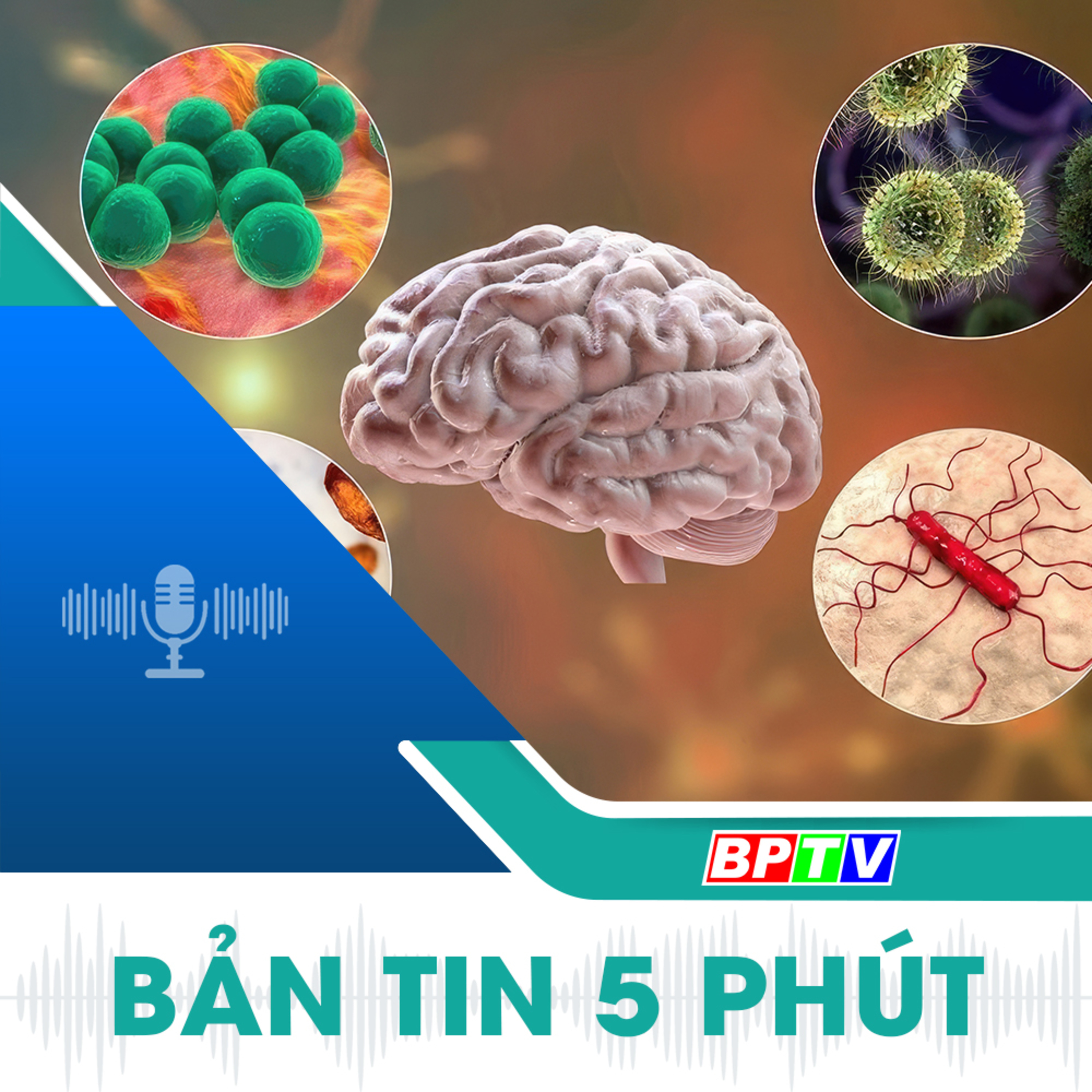 5 phút sáng nay 25-10-2024 episode artwork