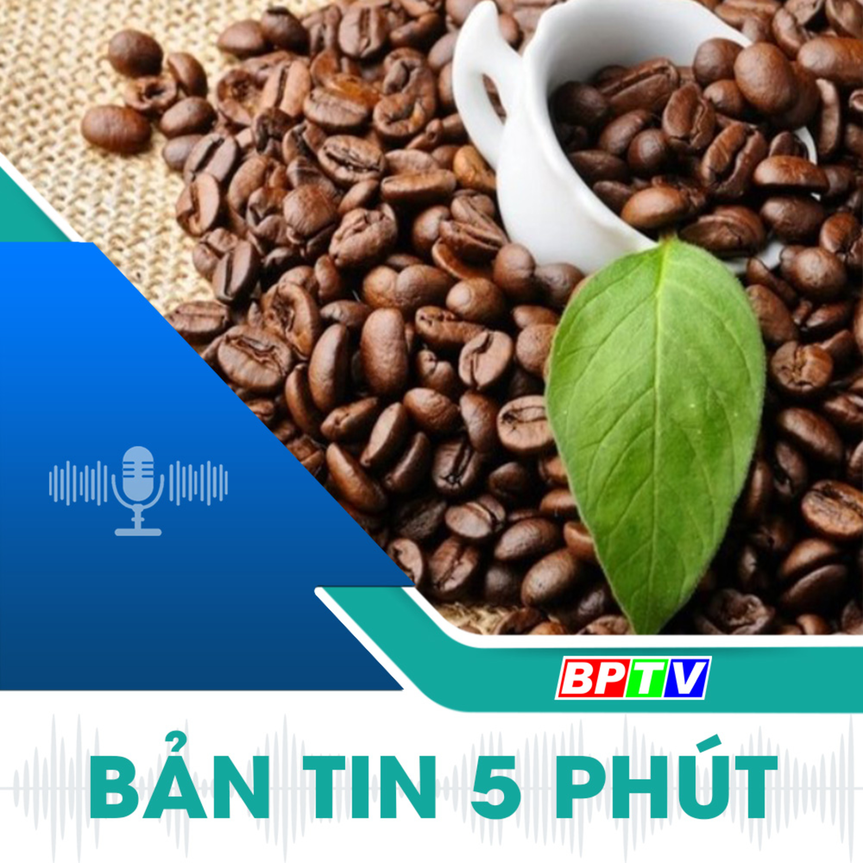 5 phút sáng nay 1-11-2024 episode artwork