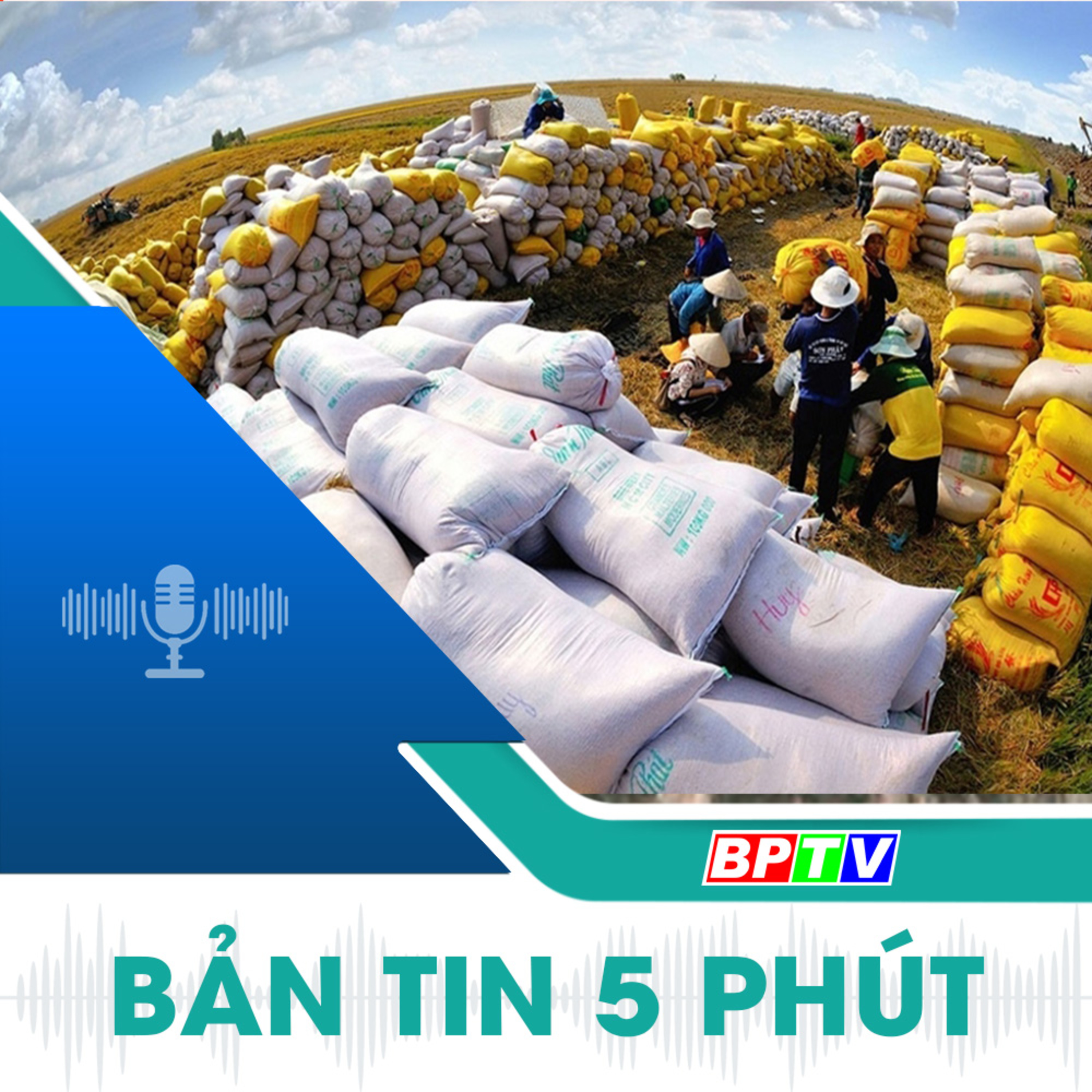 5 phút tối nay 3-11-2024  episode artwork