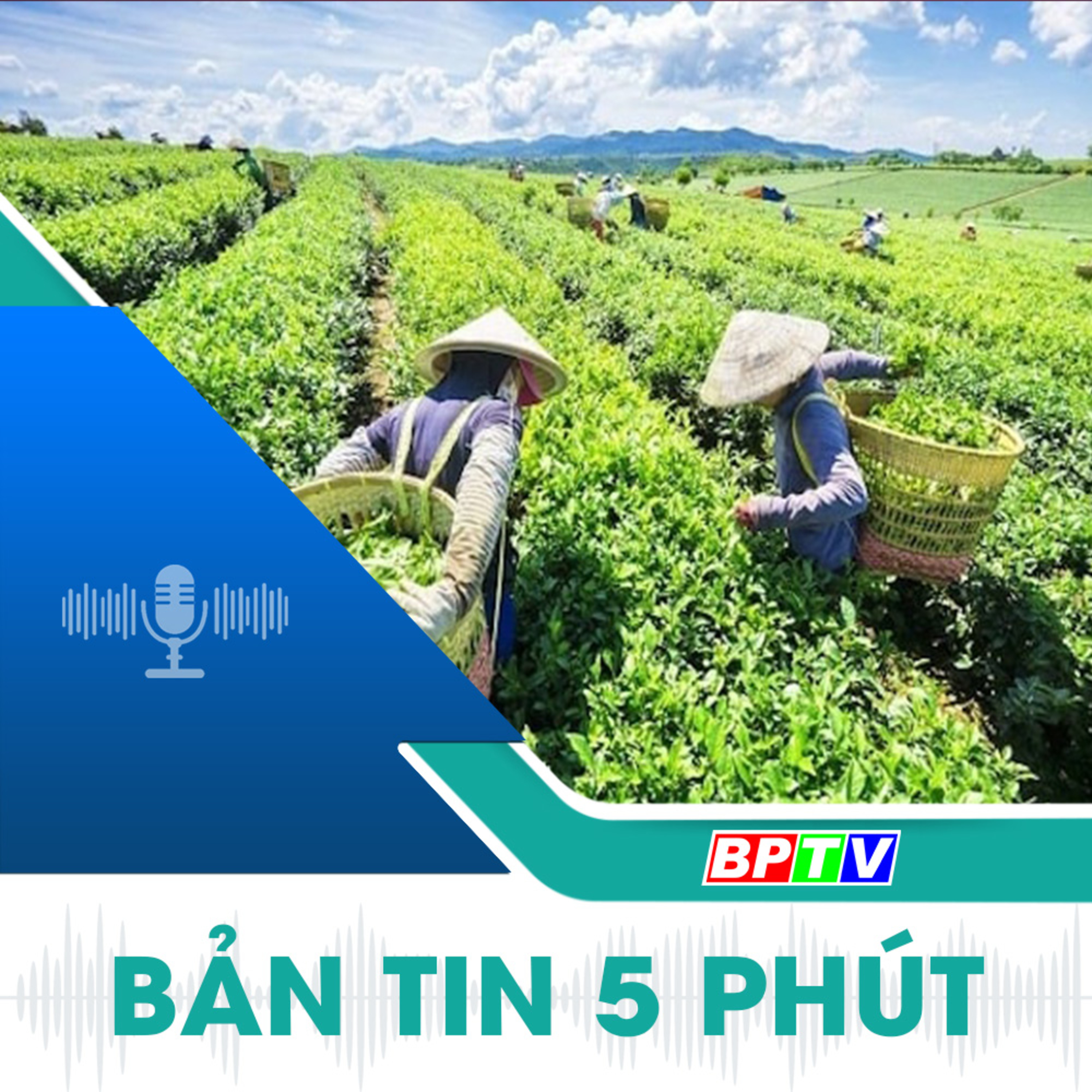 5 phút sáng nay 7-11-2024 episode artwork